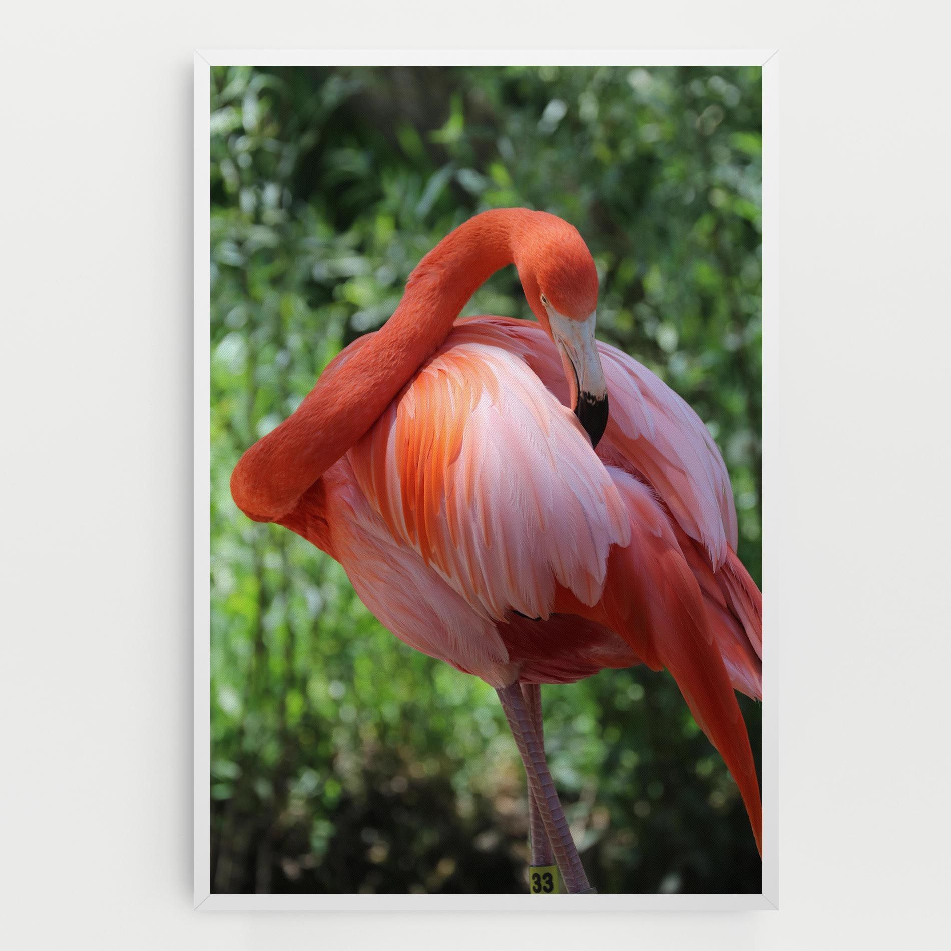 Red Flamingo mockup 0