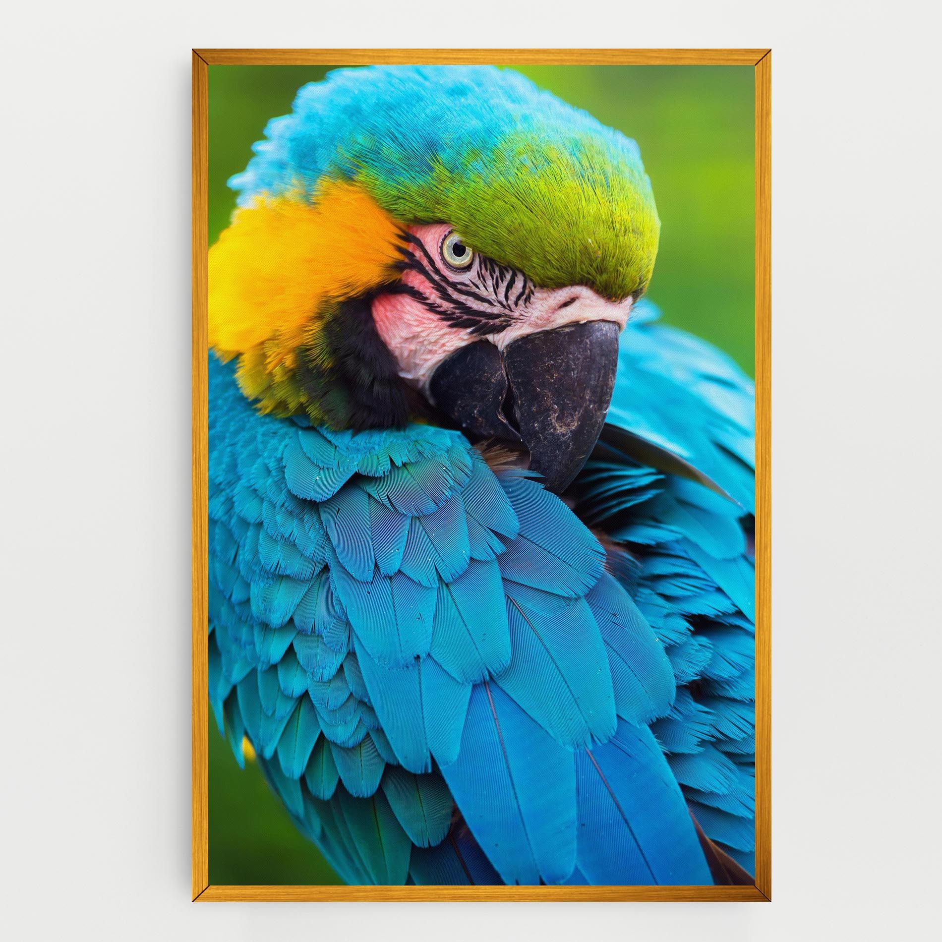 Blue Parrot mockup 0