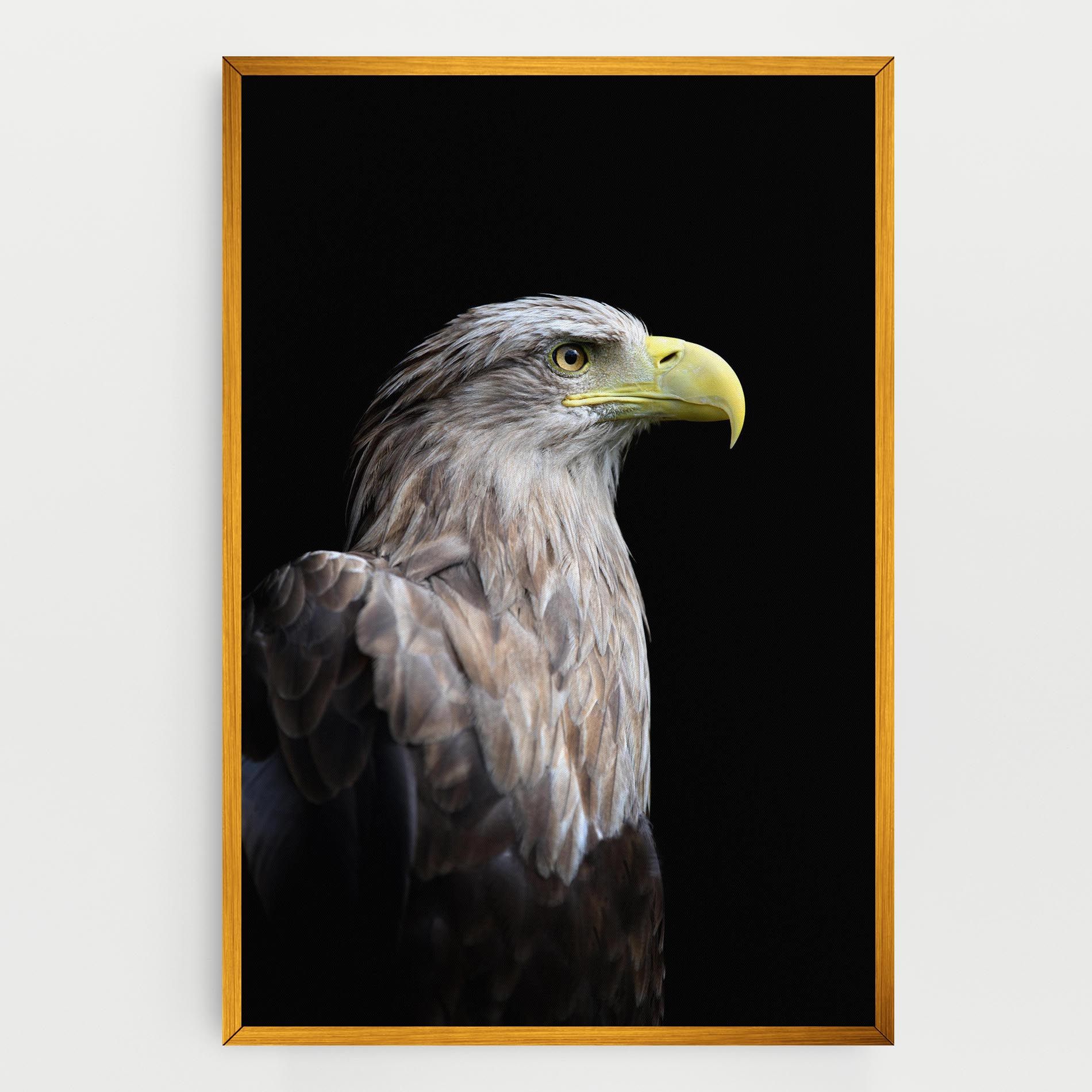 Close Up Eagle mockup 0