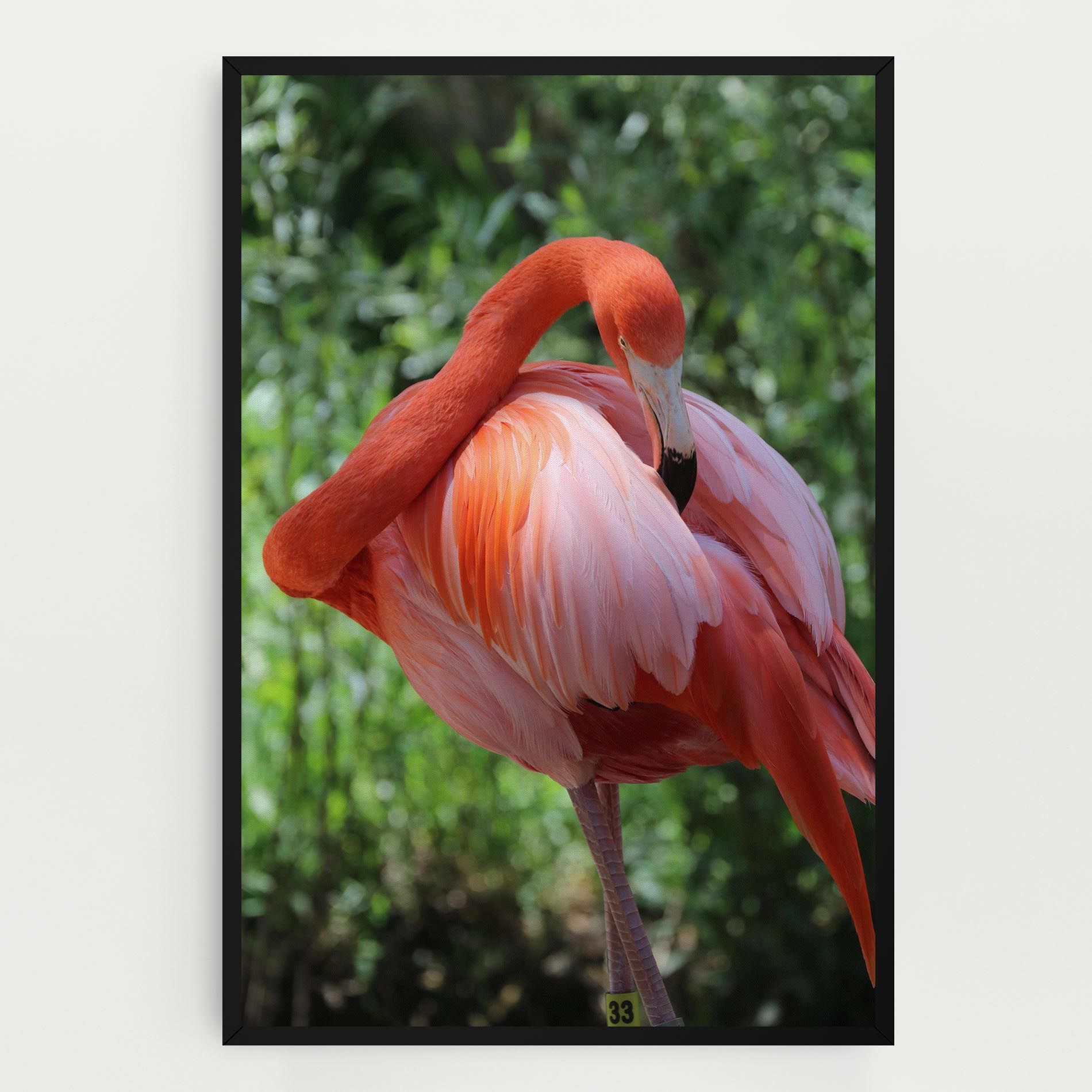 Red Flamingo mockup 0