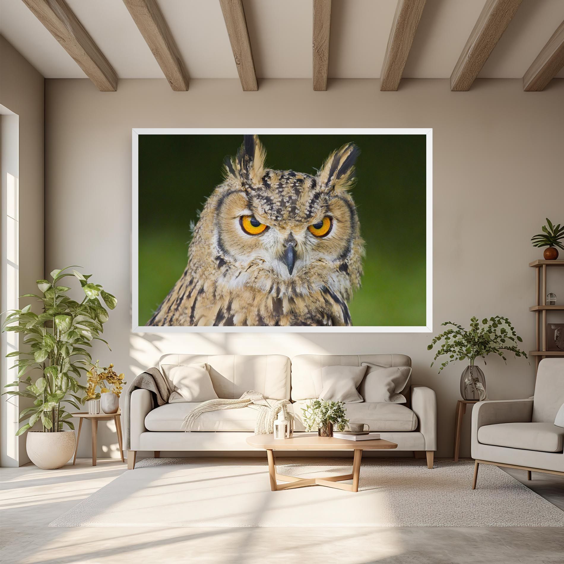 Angry Owl mockup 6
