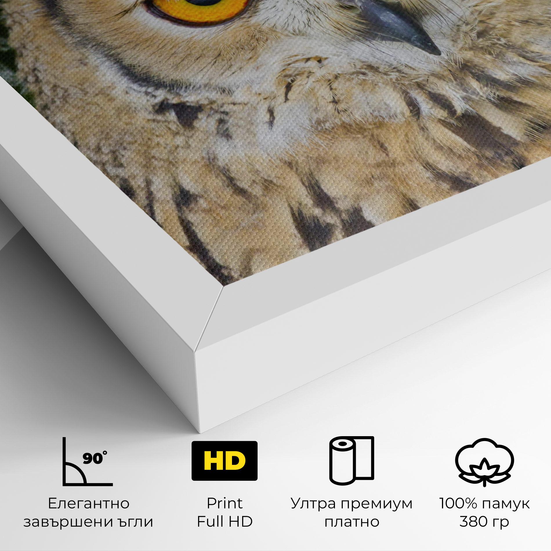 Картина на платно Angry Owl mockup 4