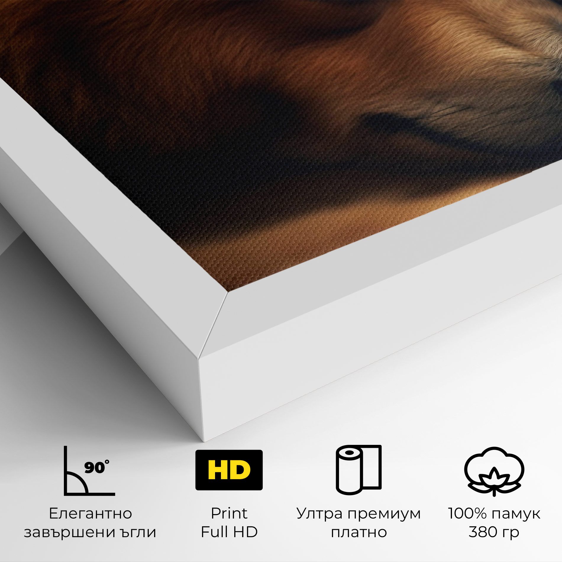 Bear With Eagle mockup 4