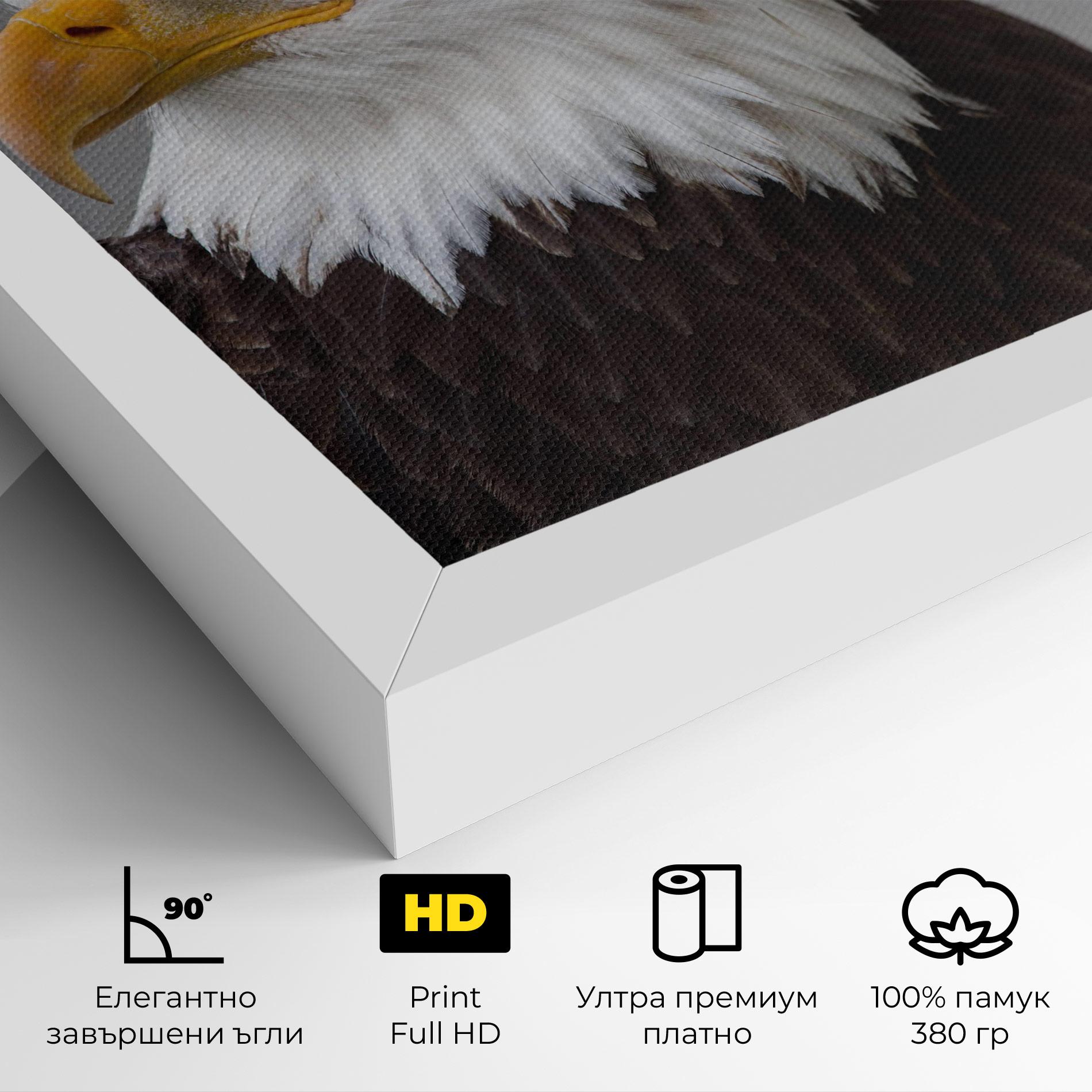 Картина на платно Beautiful Eagle mockup 4