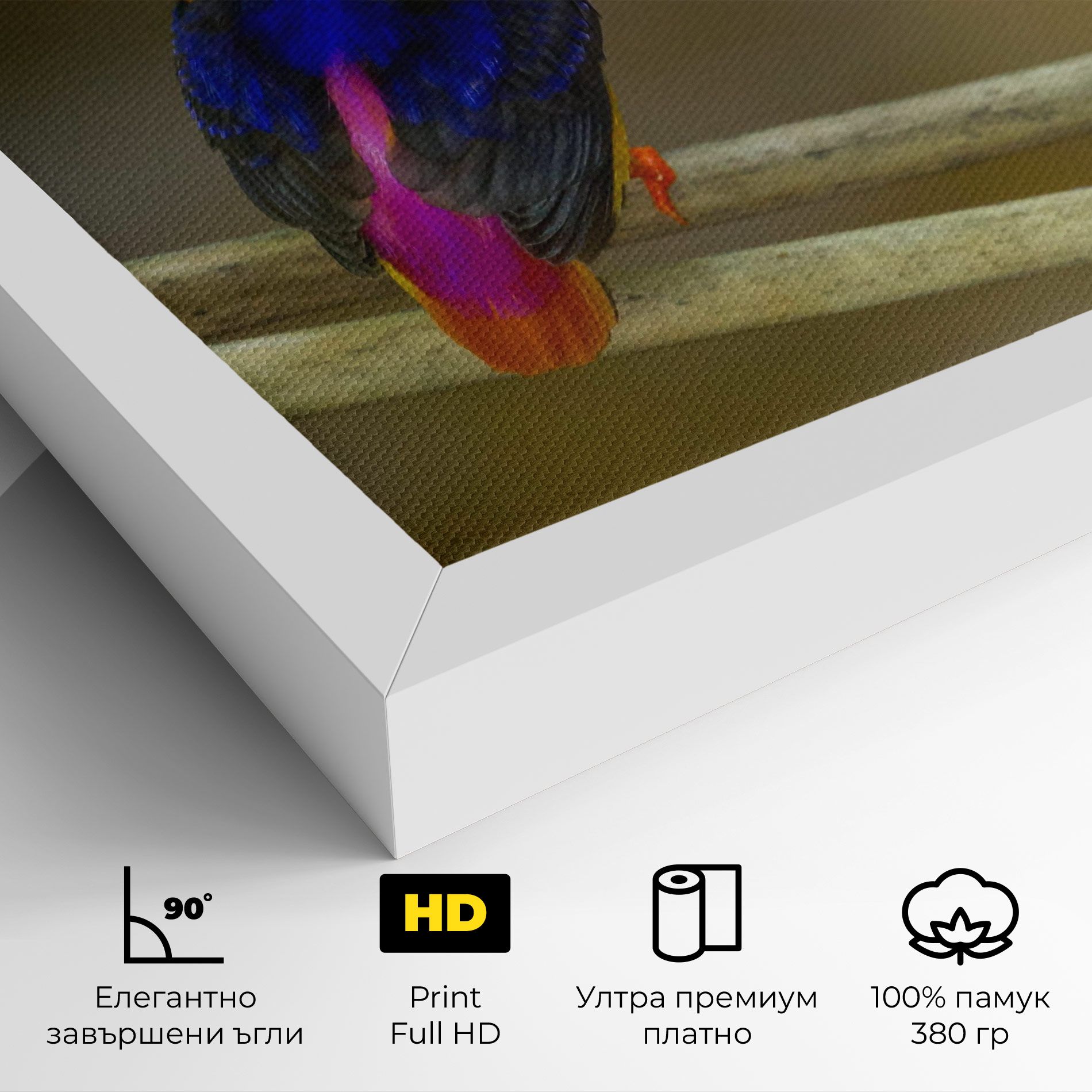 Colorful Bird mockup 4