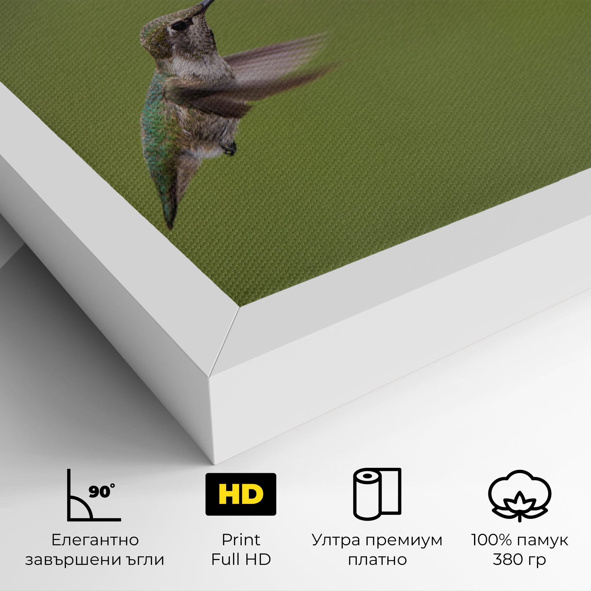 Cute Hummingbird mockup 4
