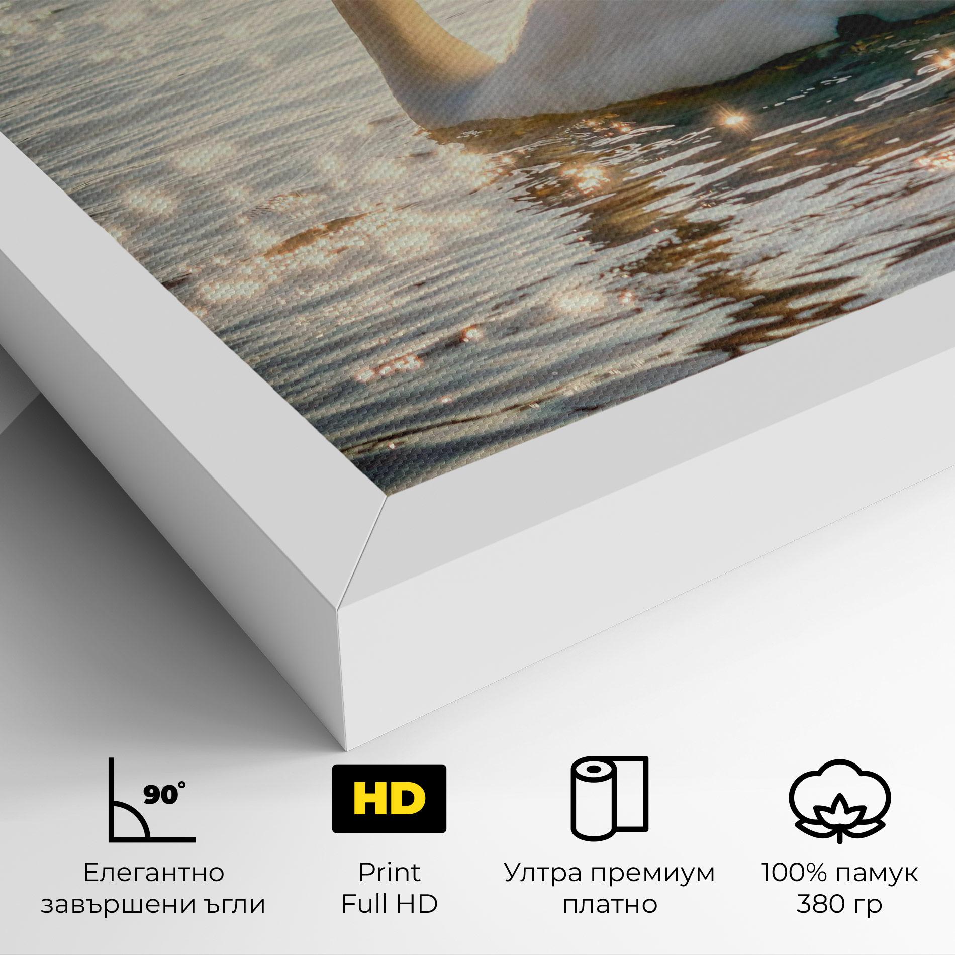 Картина на платно Swan On Lake mockup 4