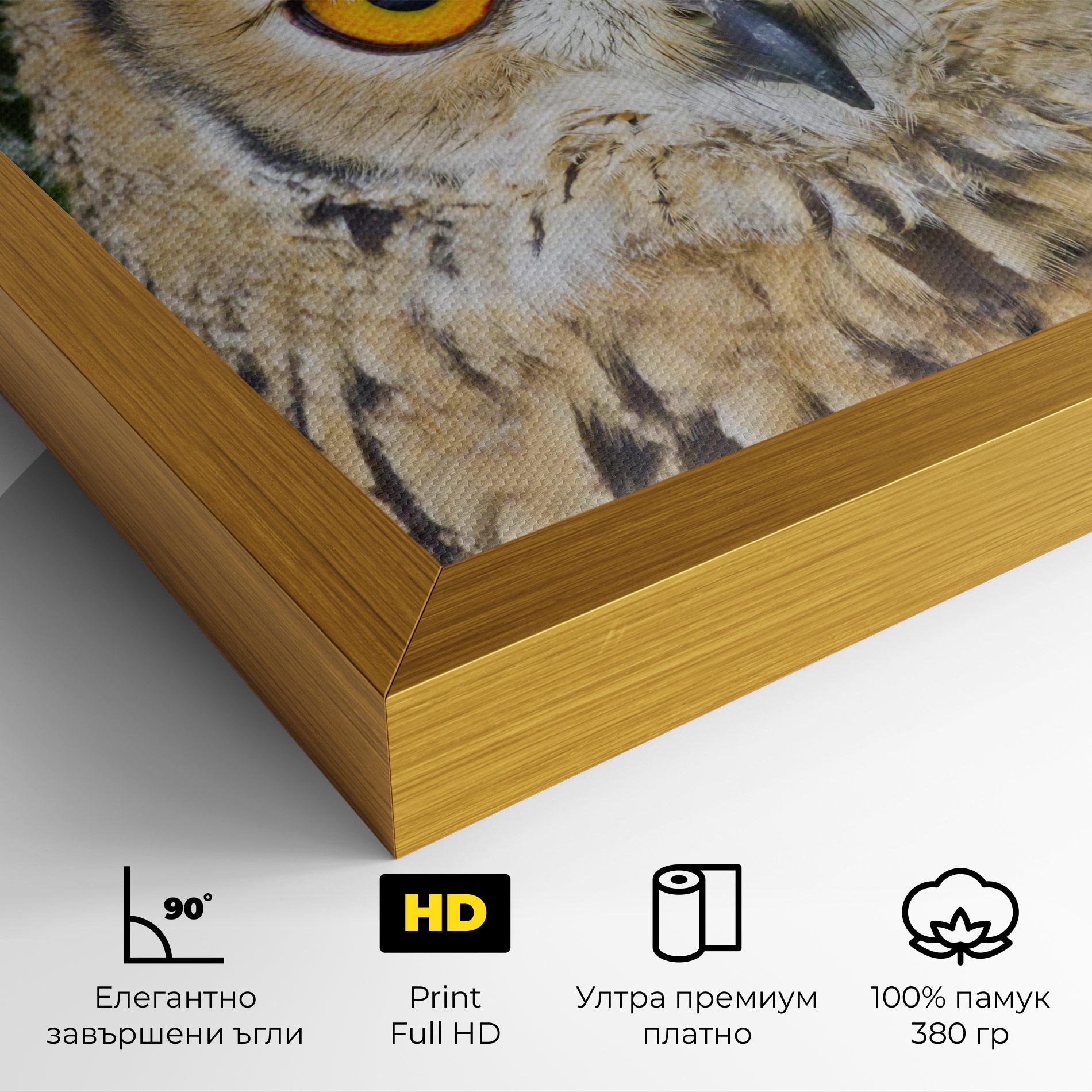 Картина на платно Angry Owl mockup 4