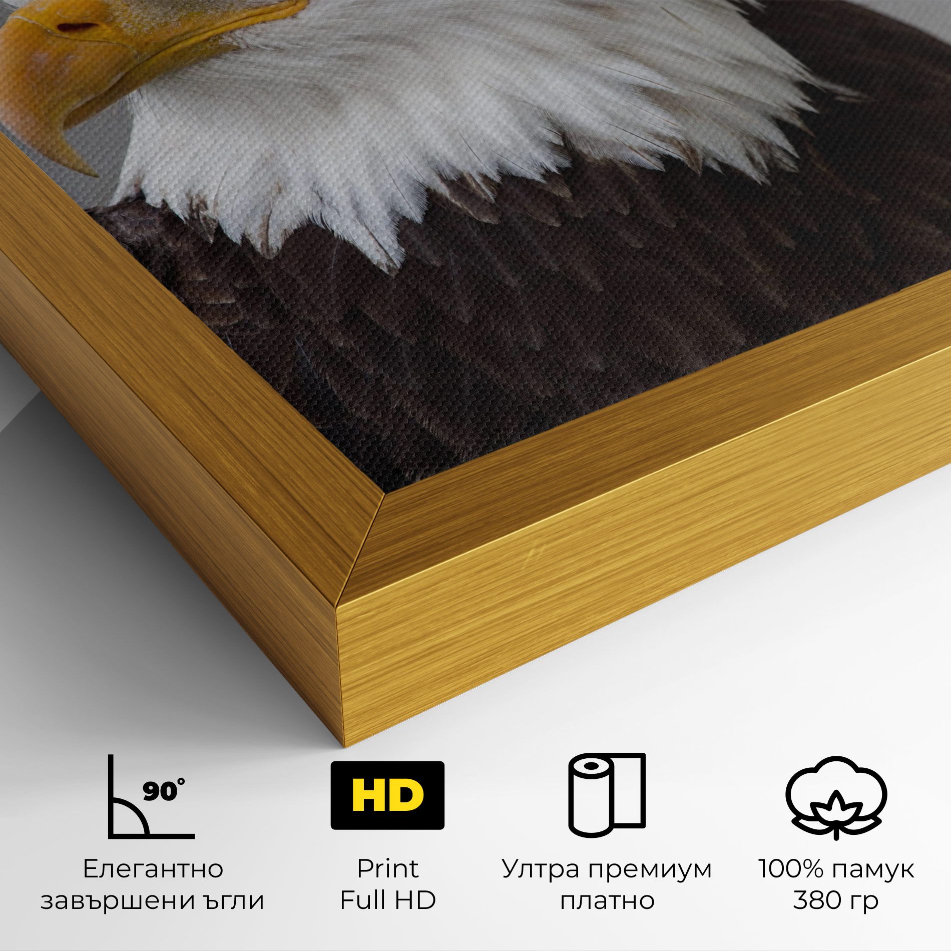 Beautiful Eagle mockup 4