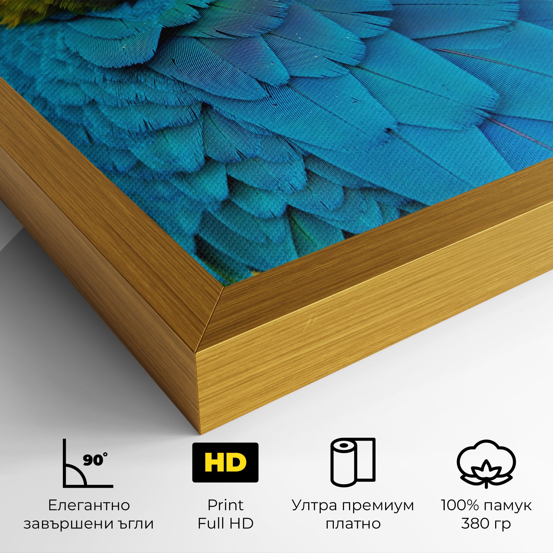 Blue Parrot mockup 4