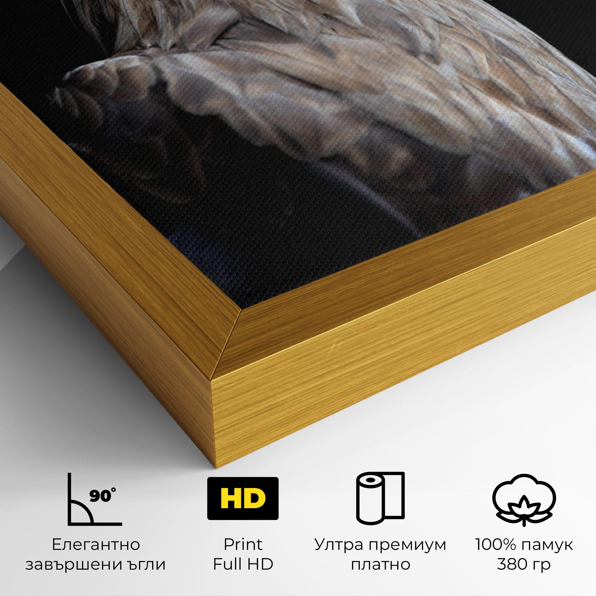Картина на платно Close Up Eagle mockup 4