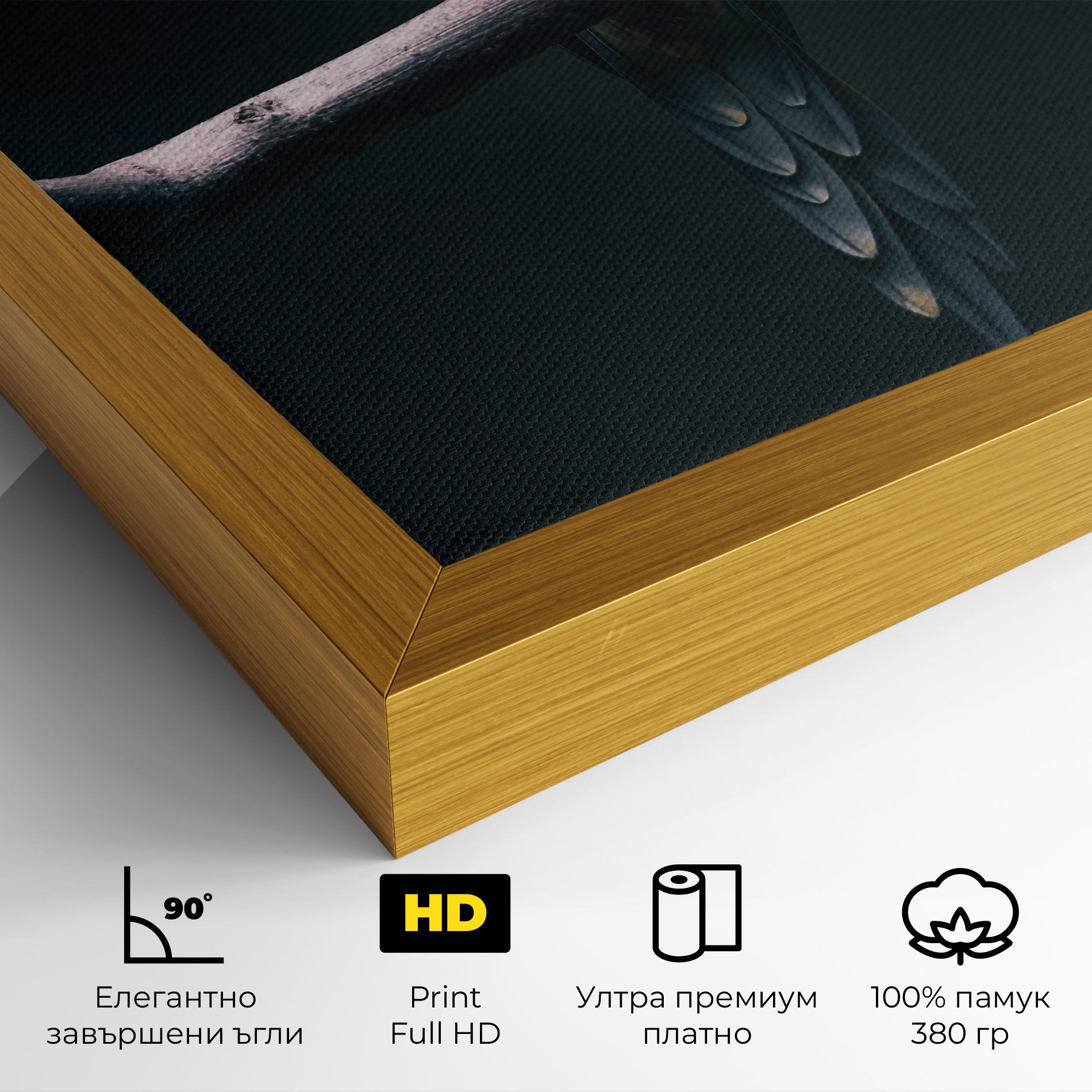 Fire Parrot mockup 4