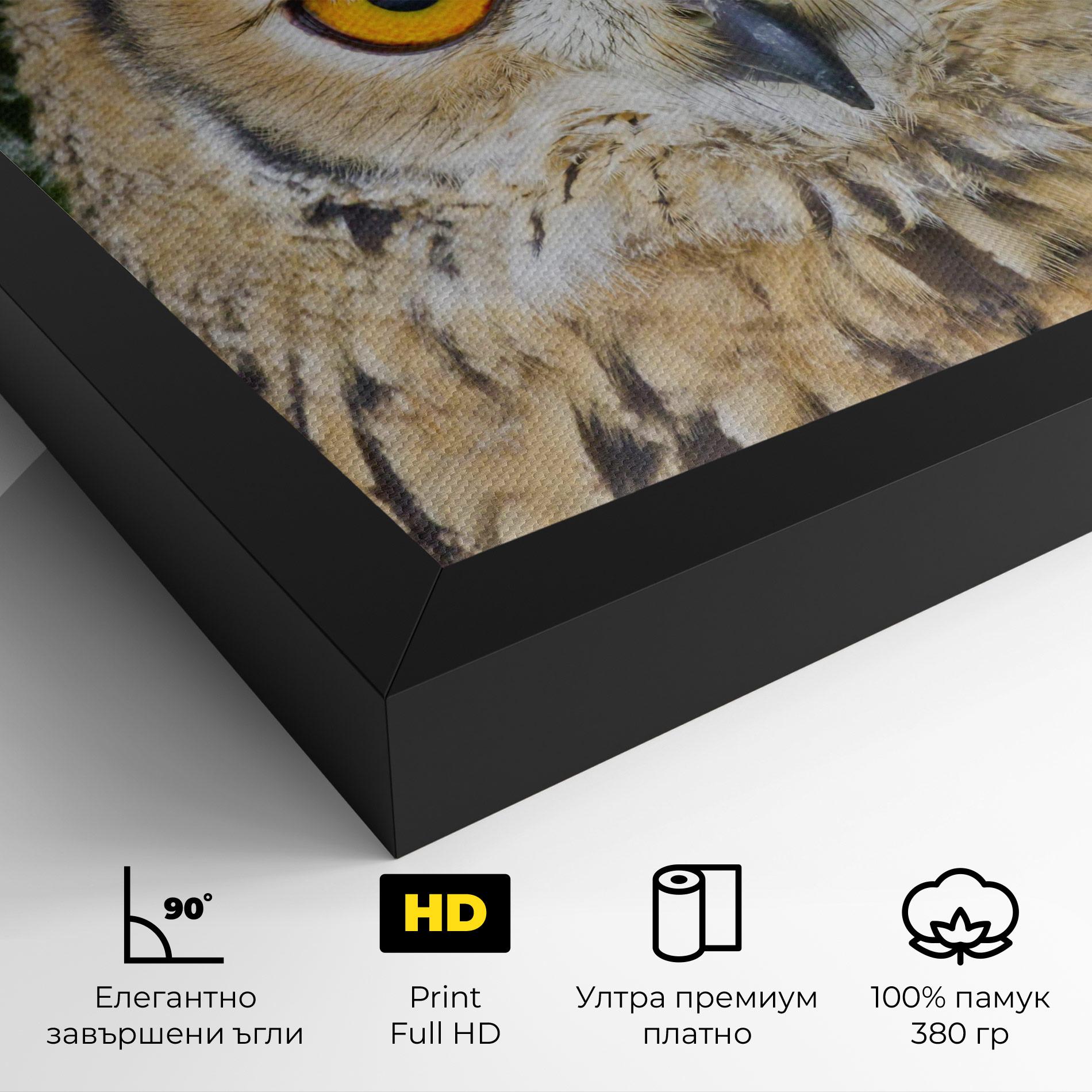 Картина на платно Angry Owl mockup 4