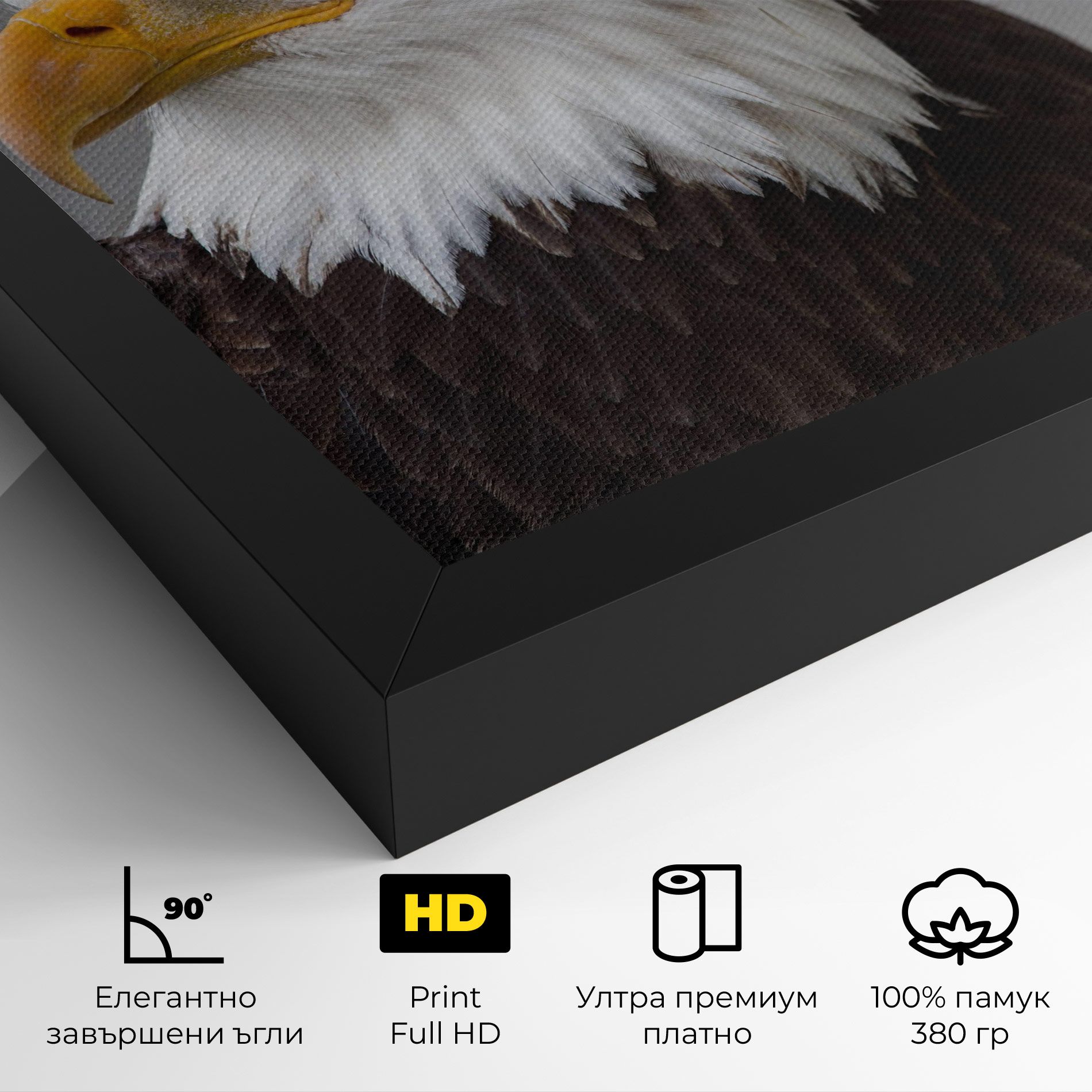 Beautiful Eagle mockup 4