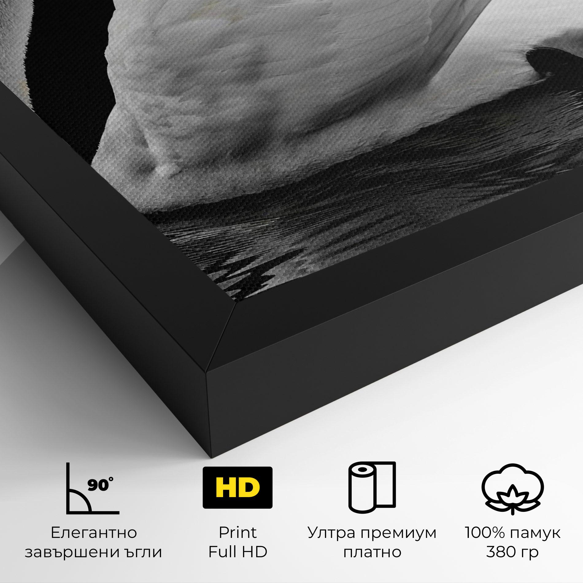 Картина на платно Black And White Swan mockup 4