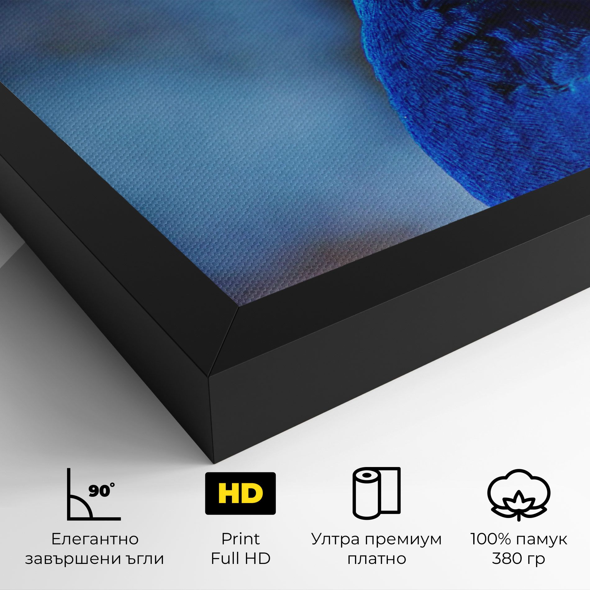 Blue Bird mockup 4