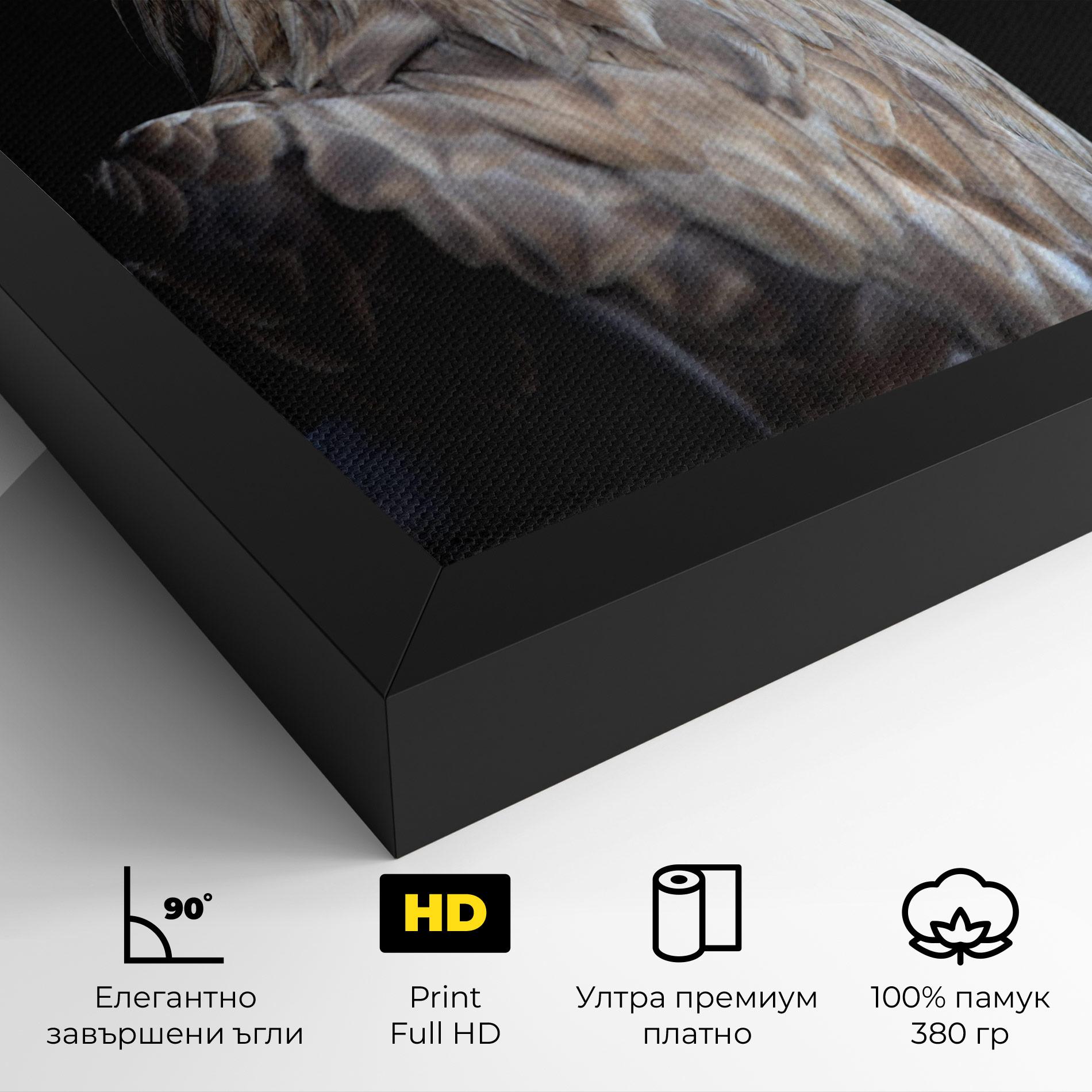 Картина на платно Close Up Eagle mockup 4
