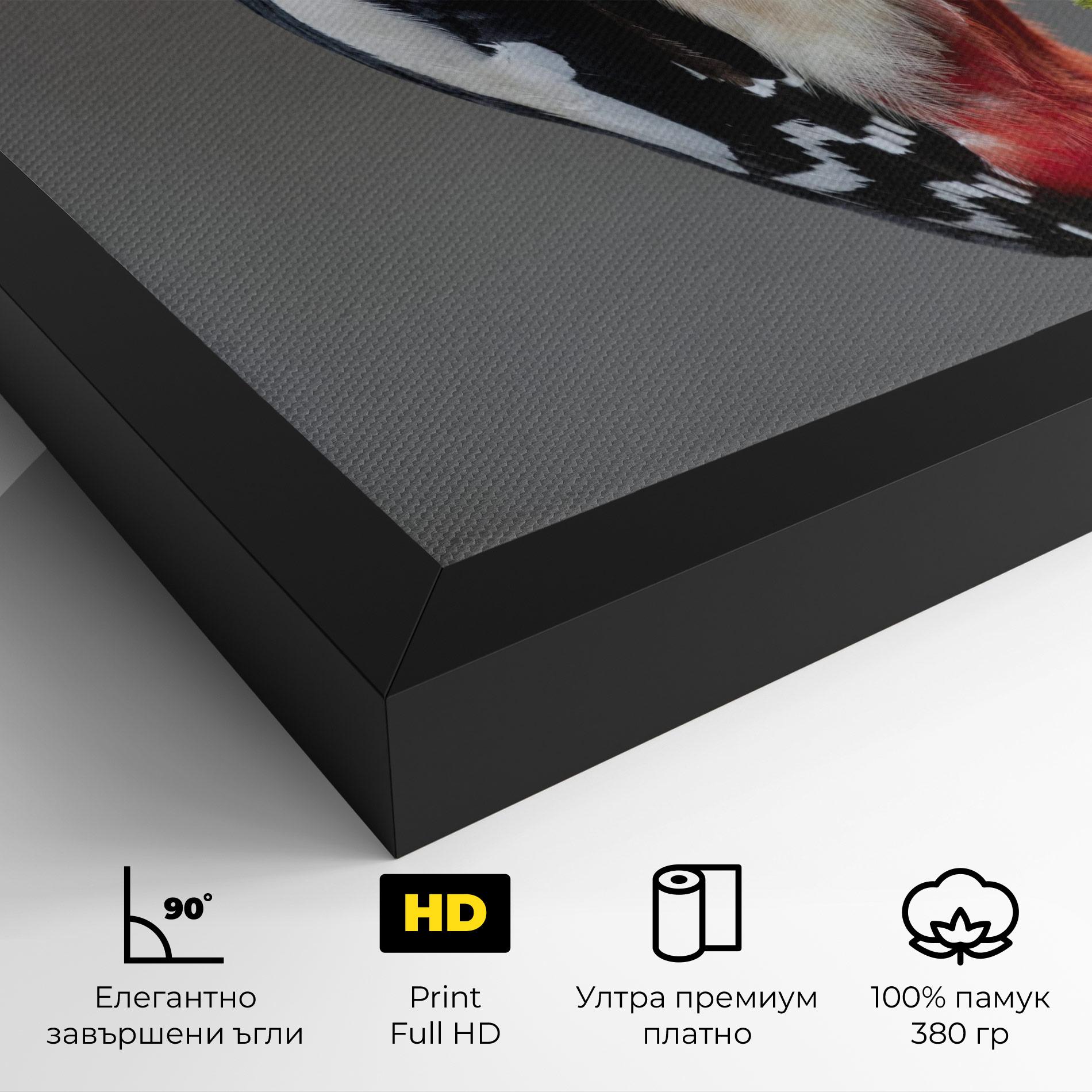 Картина на платно Woodpecker mockup 4