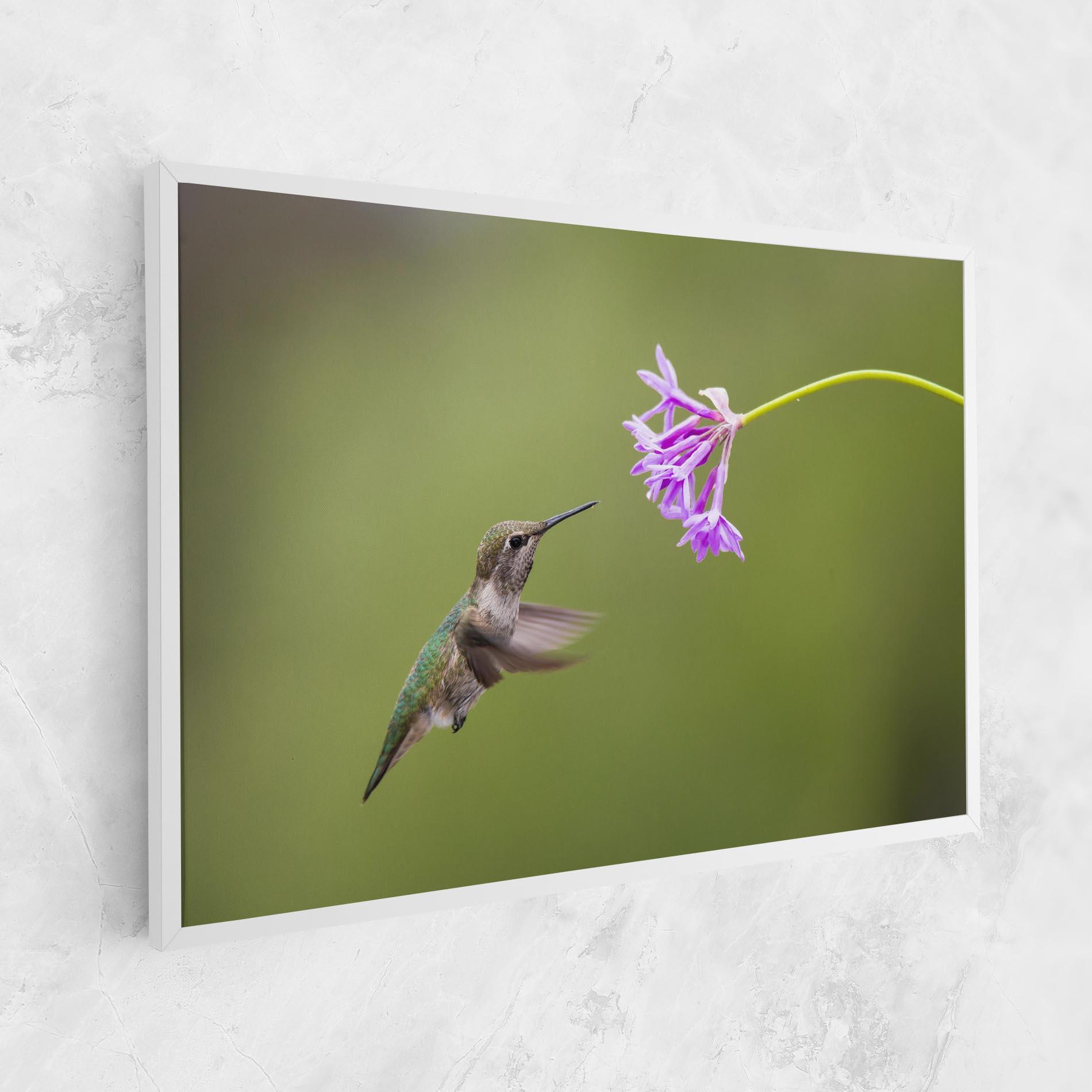 Картина на платно Cute Hummingbird mockup 1