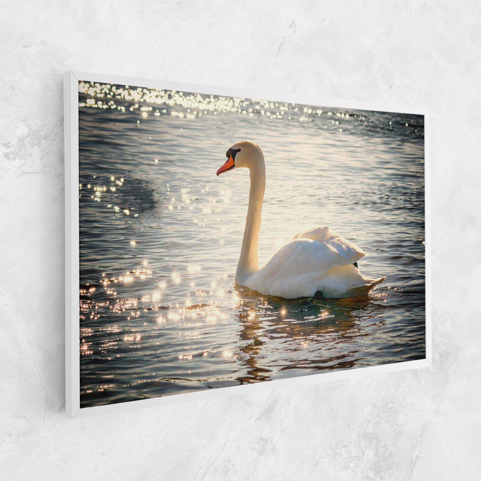 Картина на платно Swan On Lake mockup 1