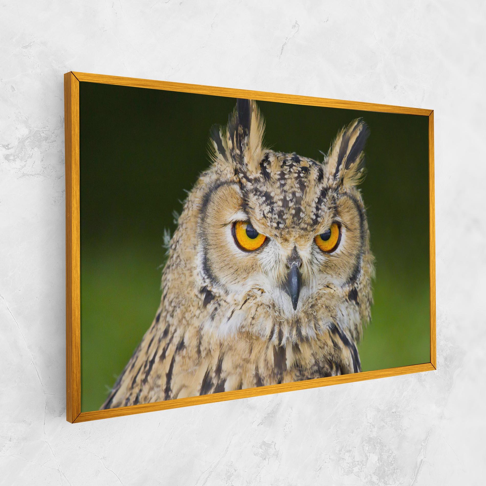 Картина на платно Angry Owl mockup 1