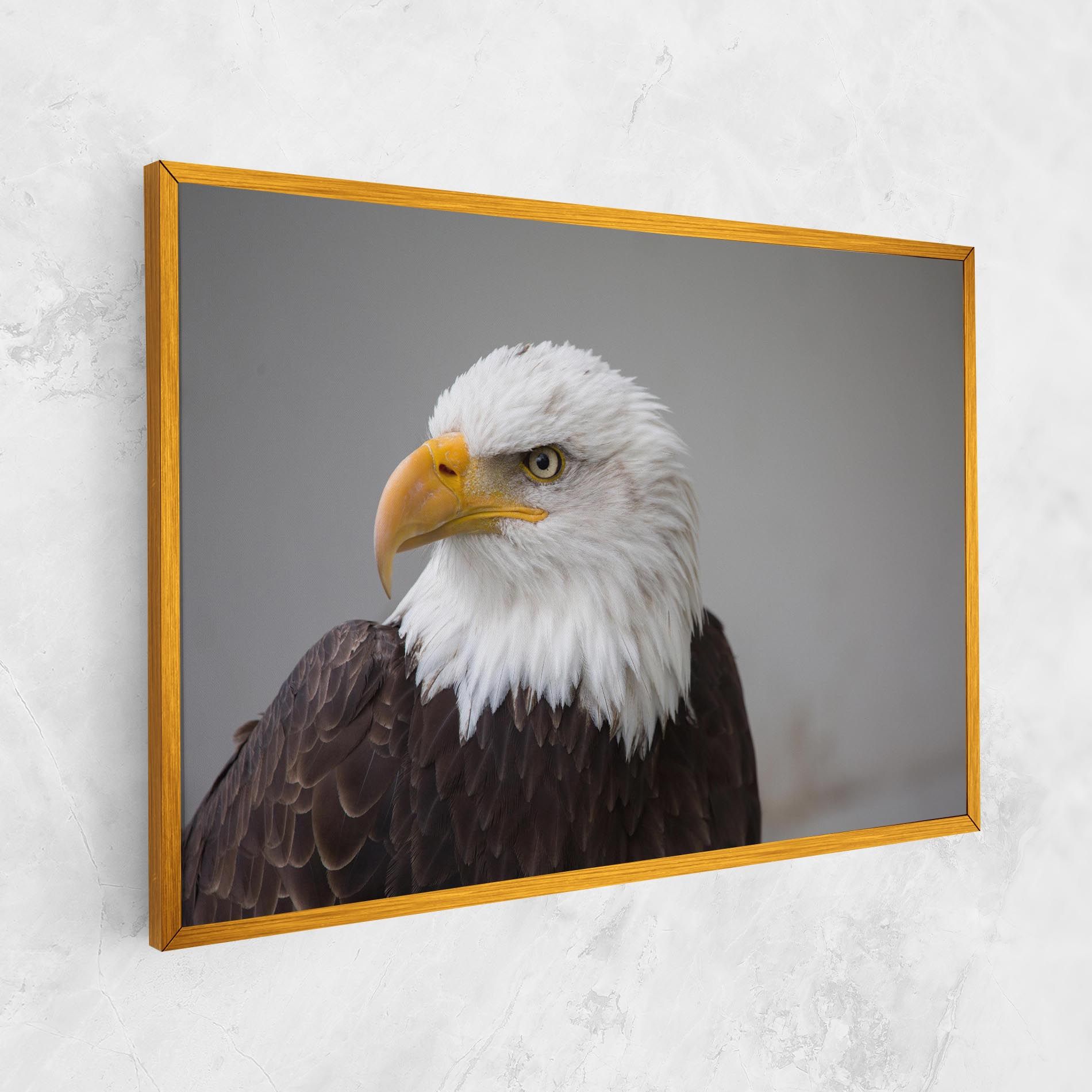 Beautiful Eagle mockup 1