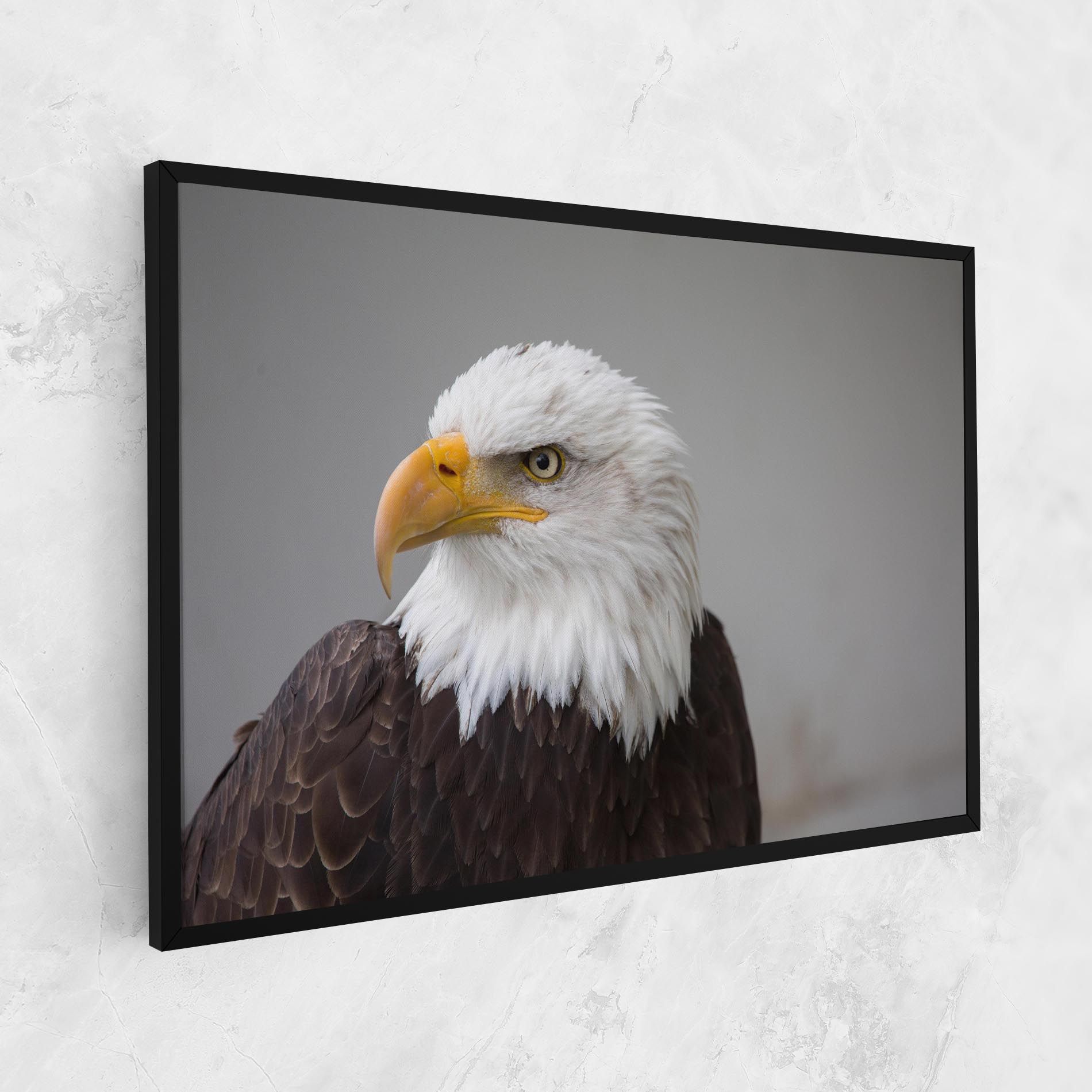 Beautiful Eagle mockup 1