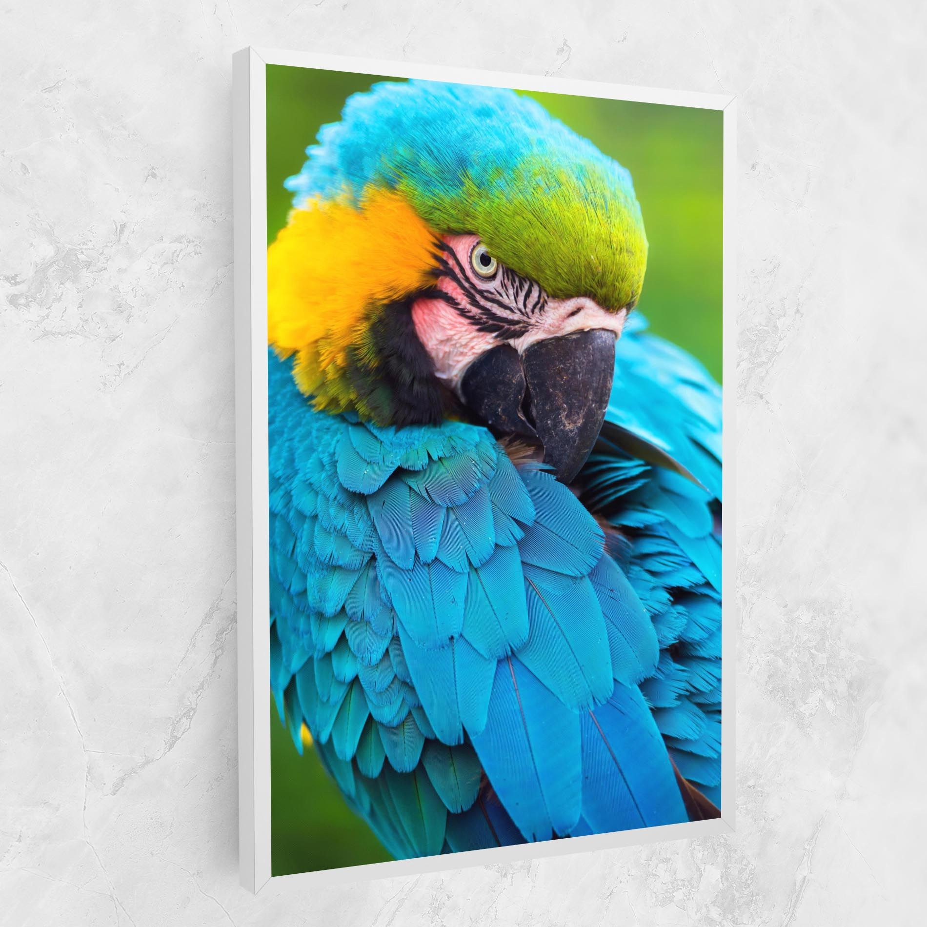 Blue Parrot mockup 1