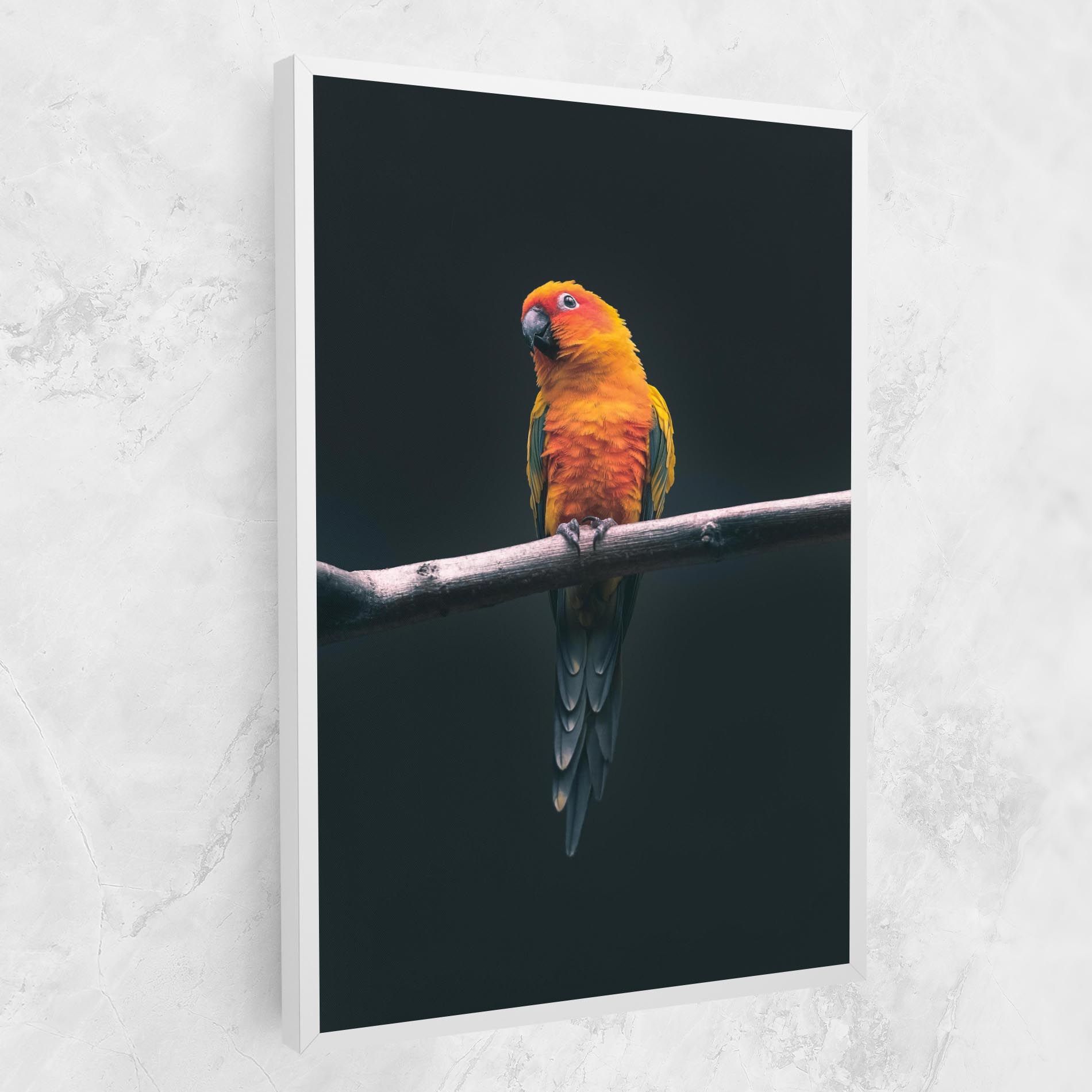 Fire Parrot mockup 1