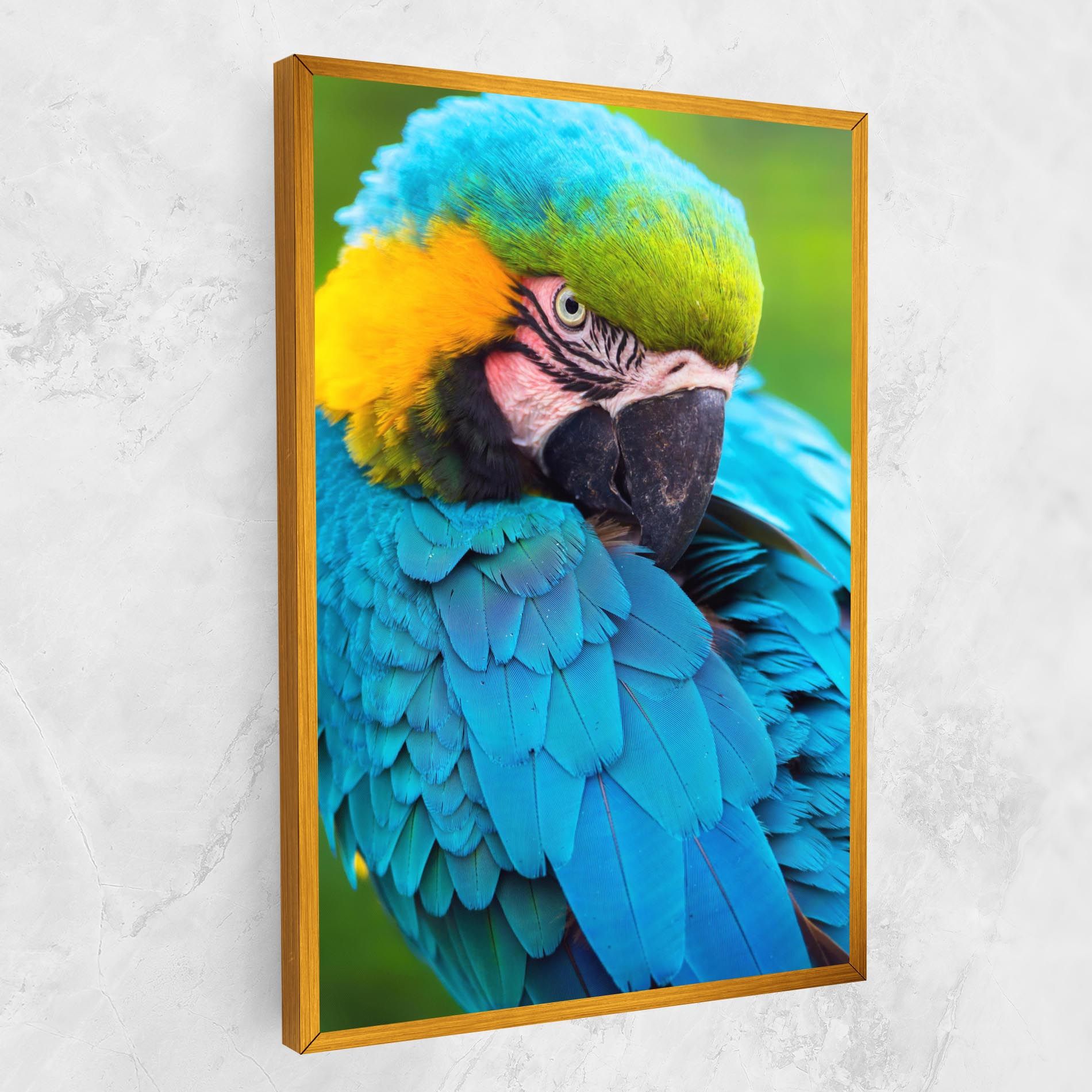 Blue Parrot mockup 1
