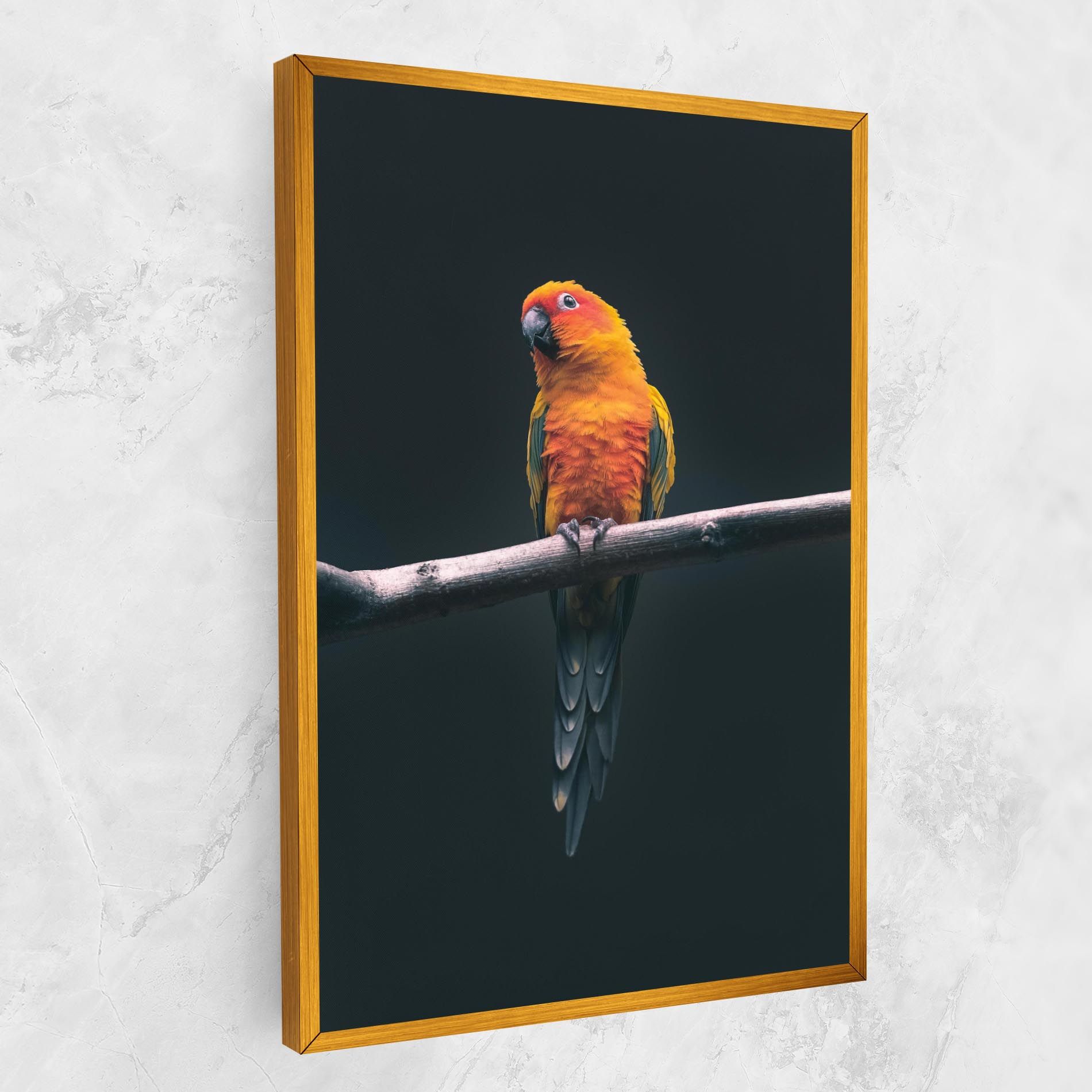 Fire Parrot mockup 1