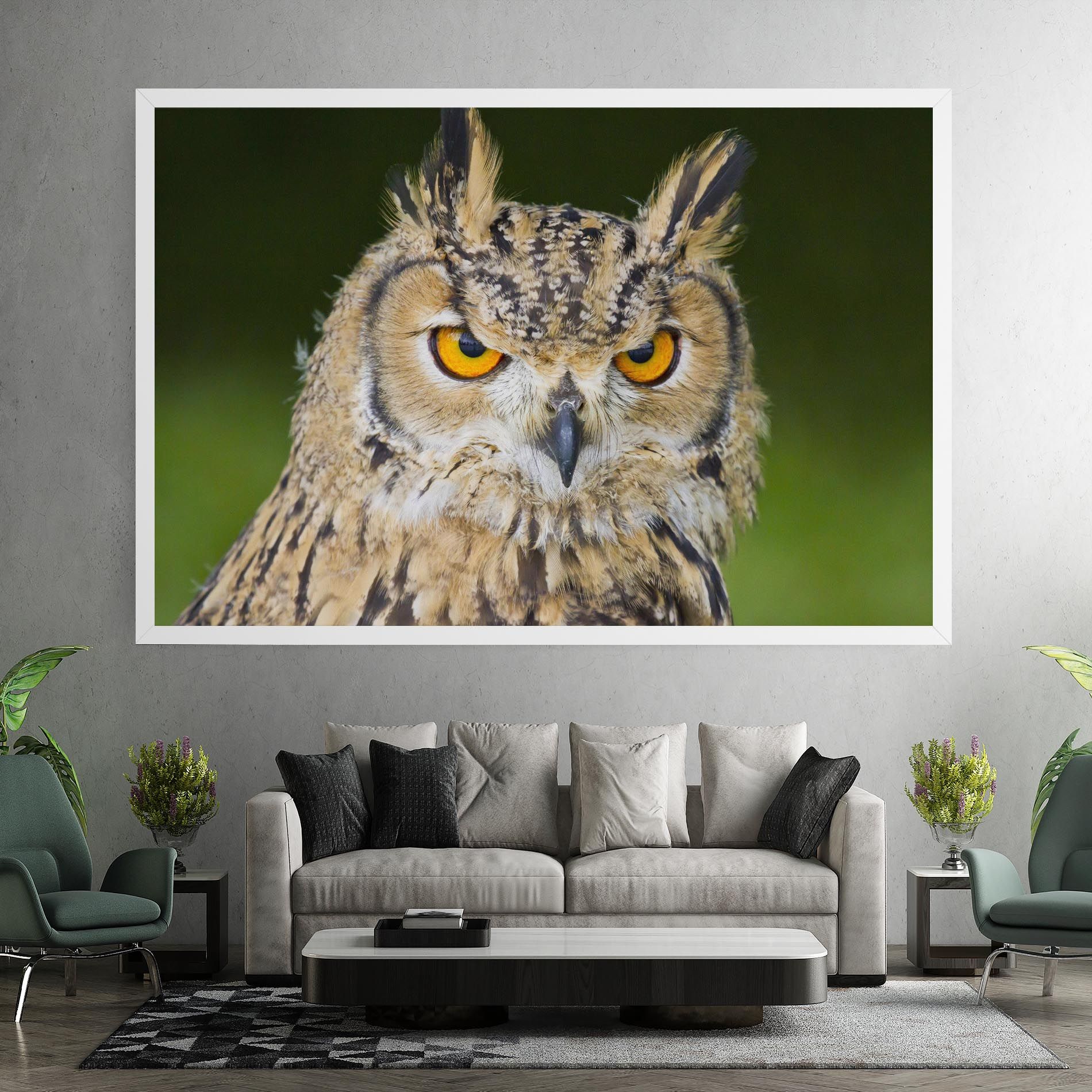 Angry Owl mockup 7