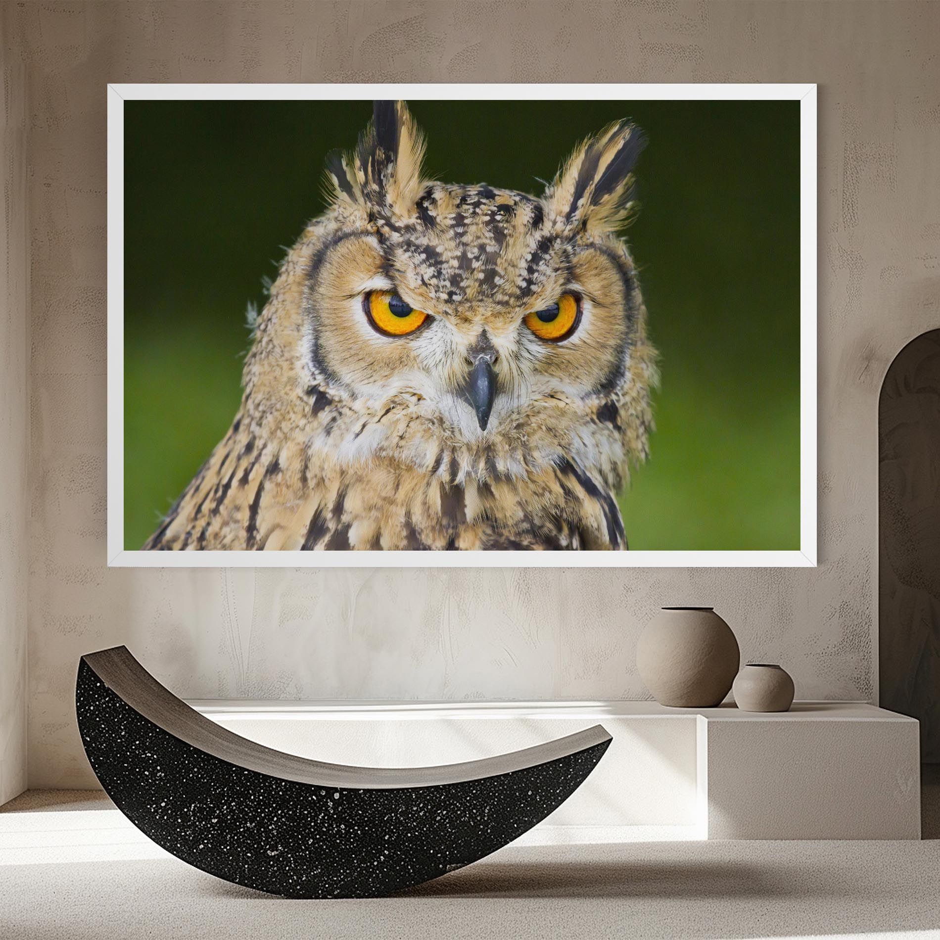Angry Owl mockup 8