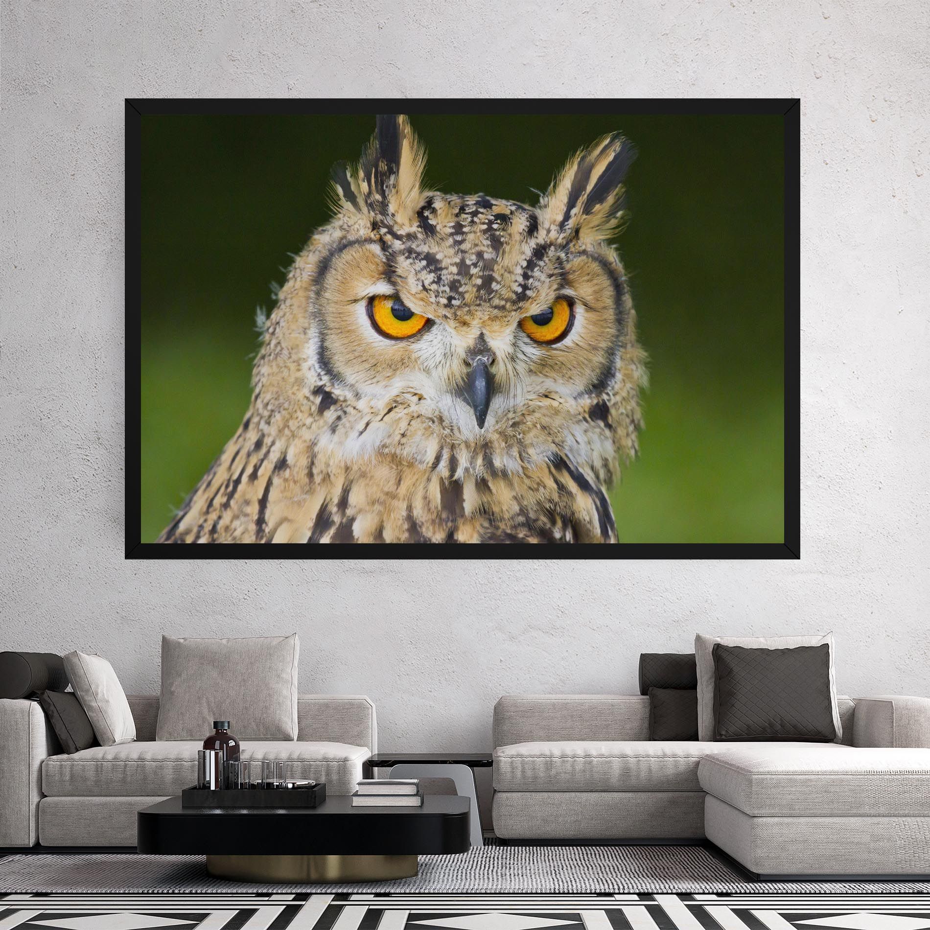 Angry Owl mockup 2