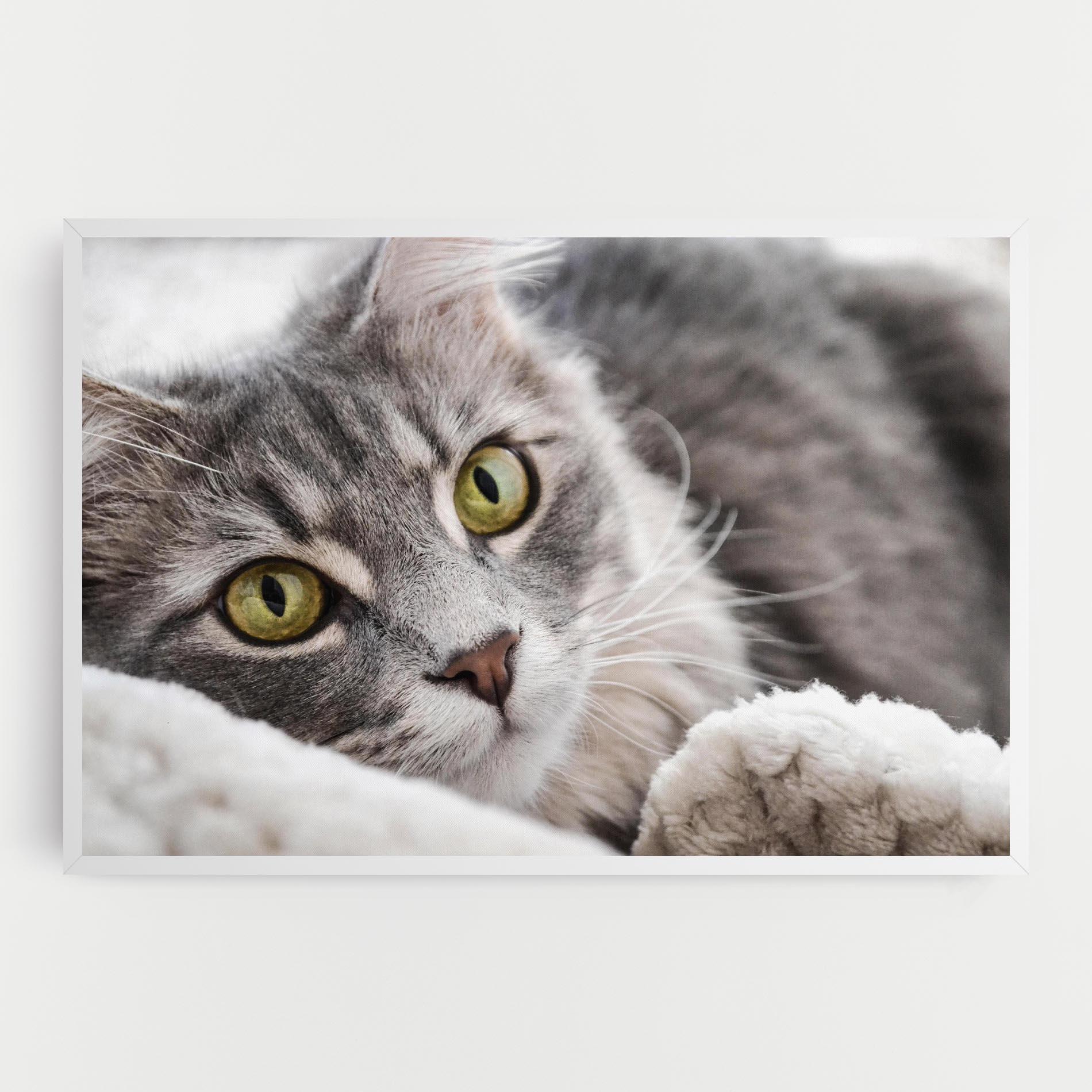 Картина на платно Grey Fluffy Cat mockup 0