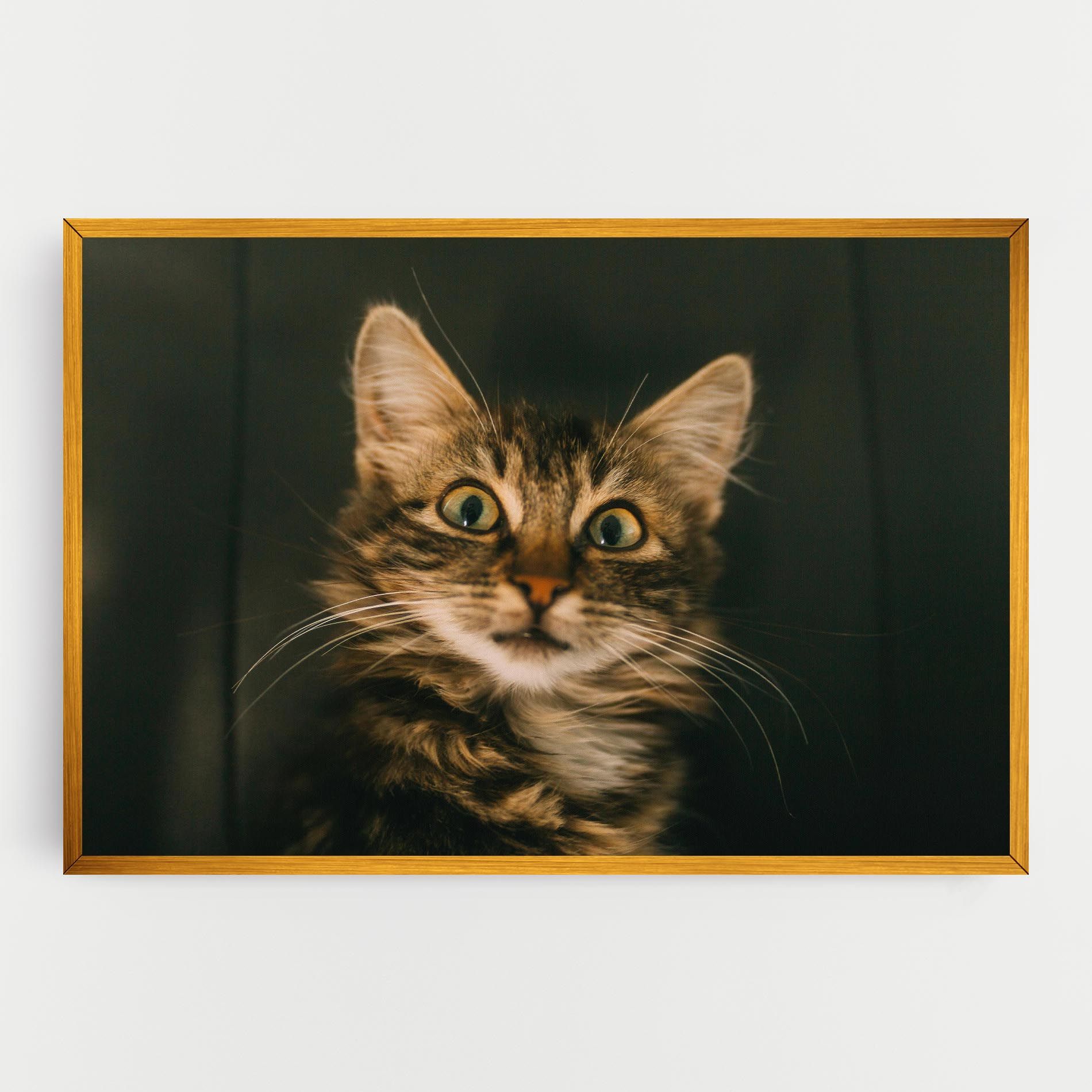 Amazed Cat mockup 0