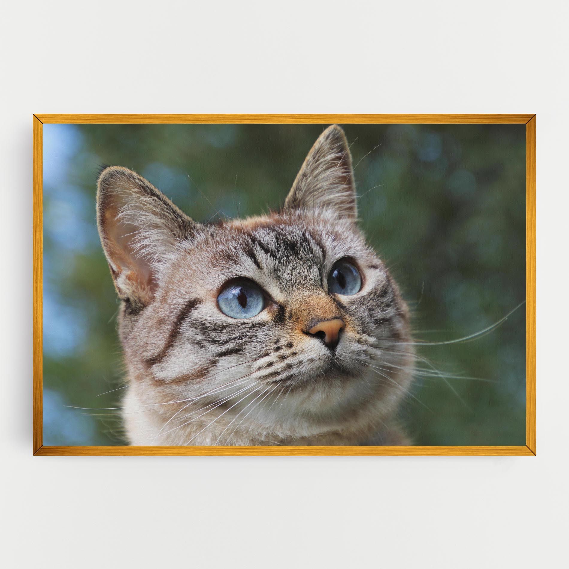 Blue Eyes Cutie mockup 0