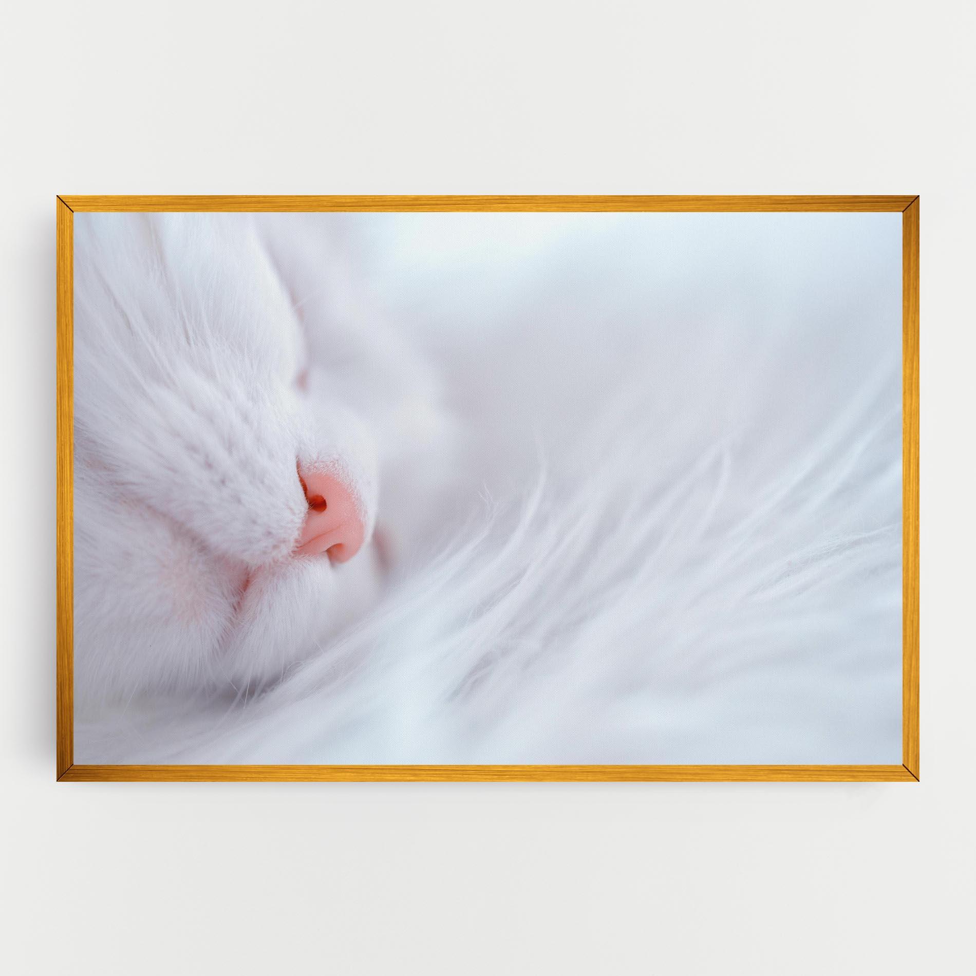 Картина на платно Dreamy White Cat mockup 0