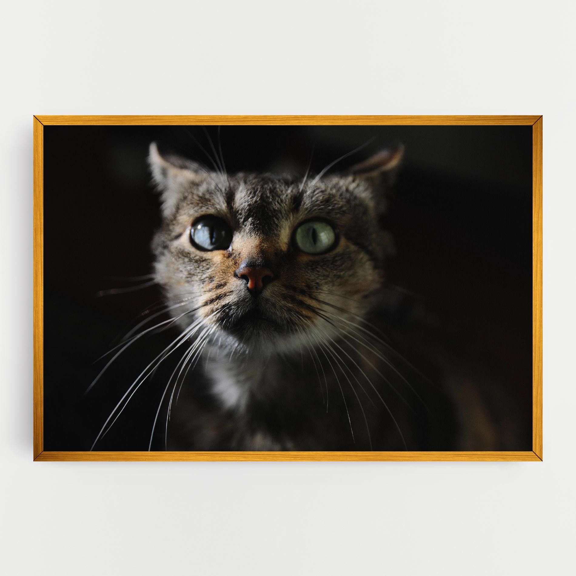 Playful Cat mockup 0