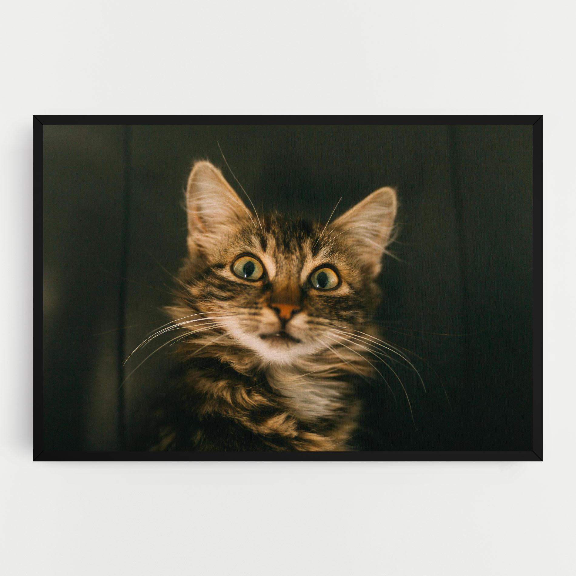 Картина на платно Amazed Cat mockup 0