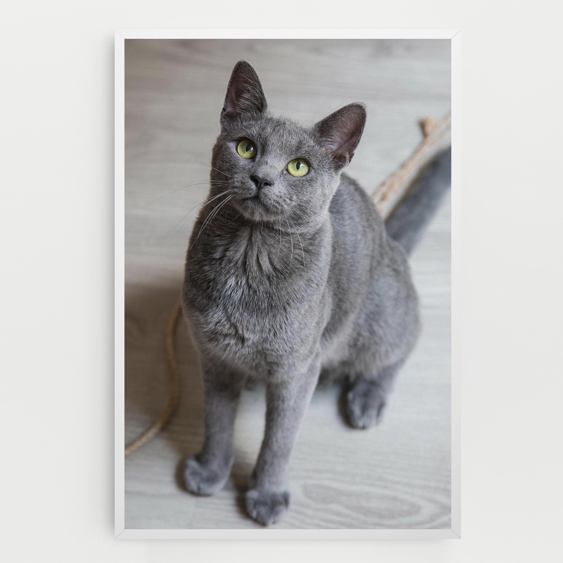 Картина на платно Grey Green Cat Eyes mockup 0