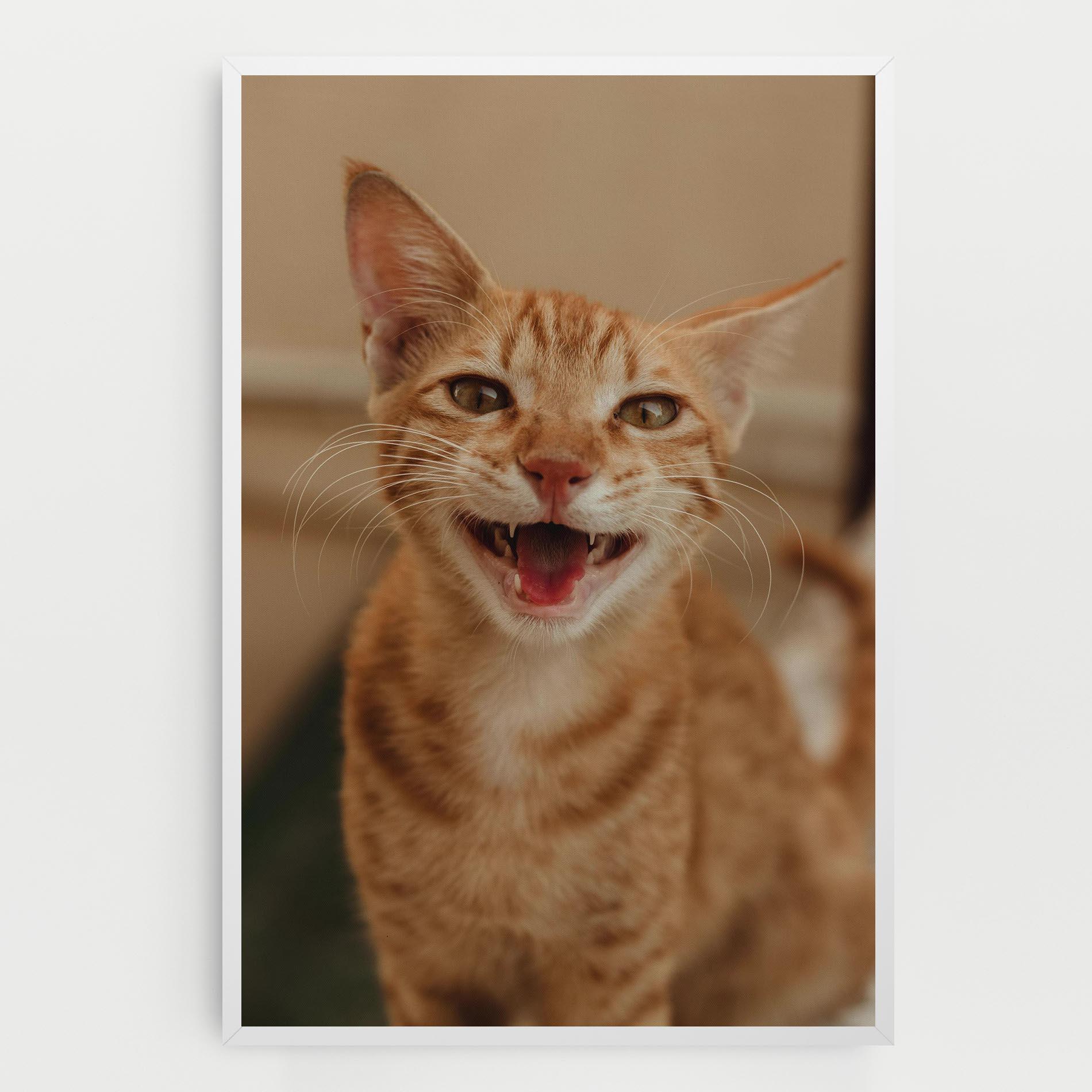 Картина на платно Orange Cat Smiling mockup 0
