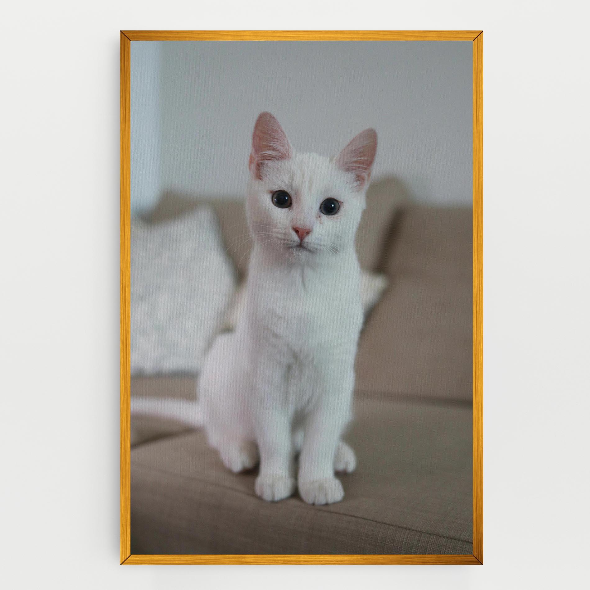 Картина на платно Beautiful White Cat mockup 0