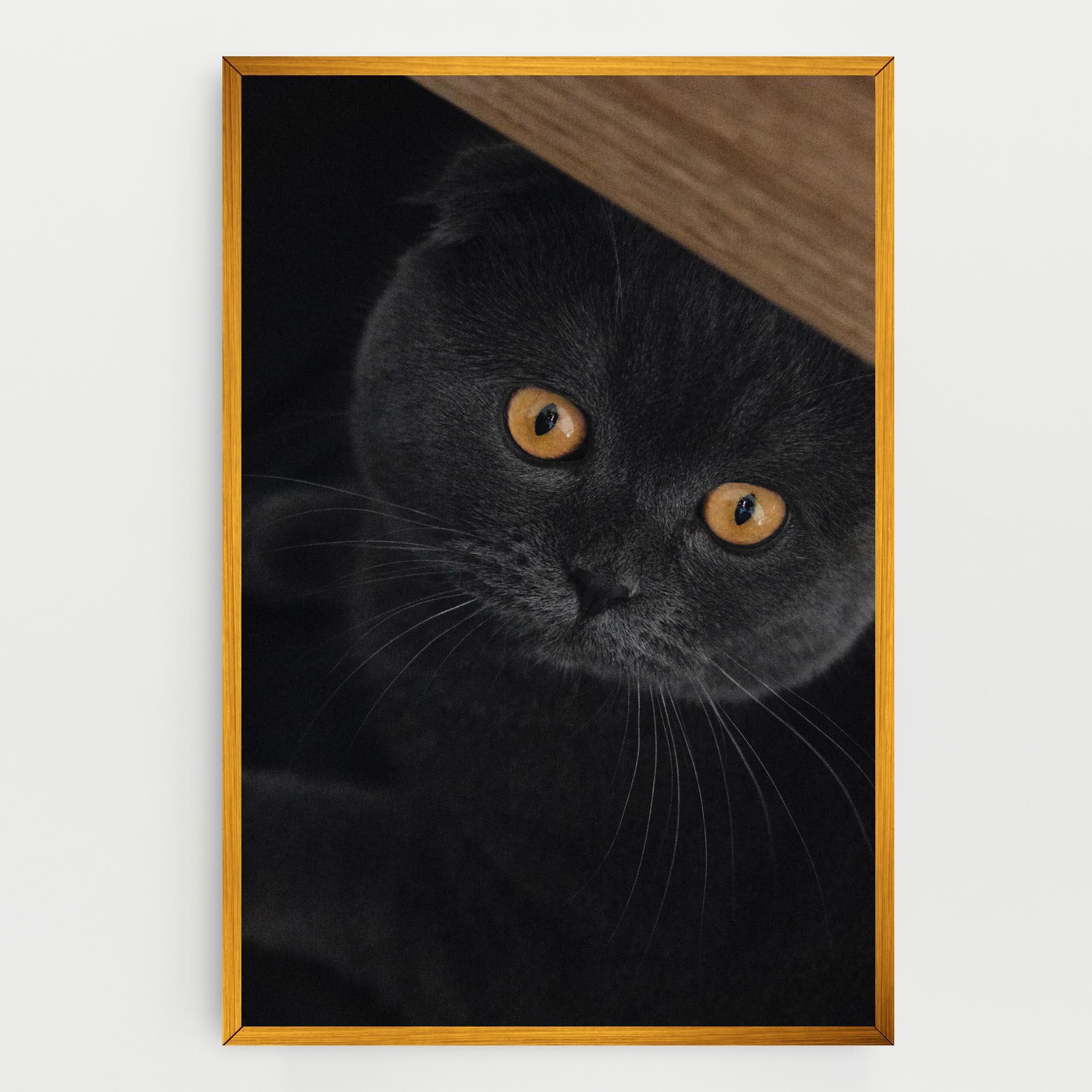 Картина на платно Grey Cat With Orange Eyes mockup 0