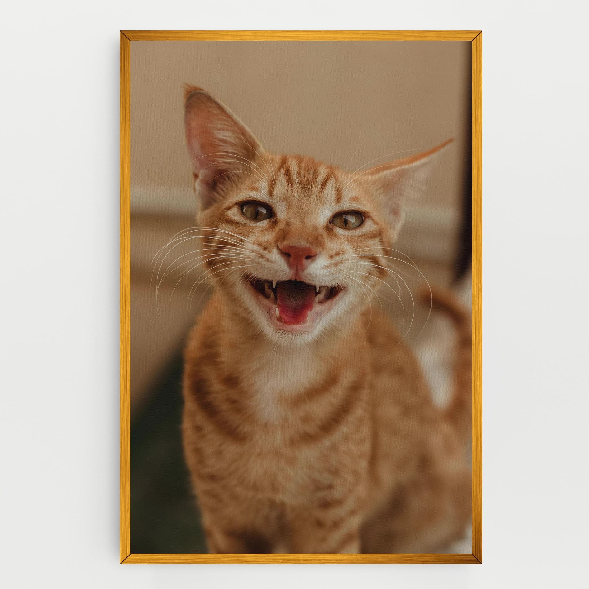 Orange Cat Smiling mockup 0