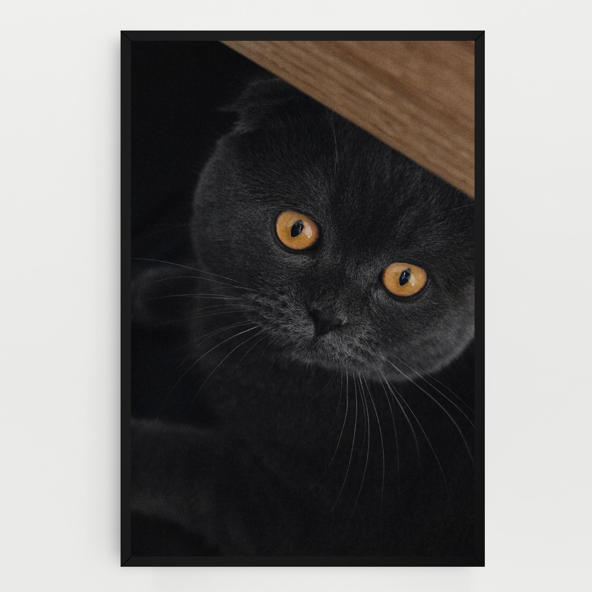 Картина на платно Grey Cat With Orange Eyes mockup 0