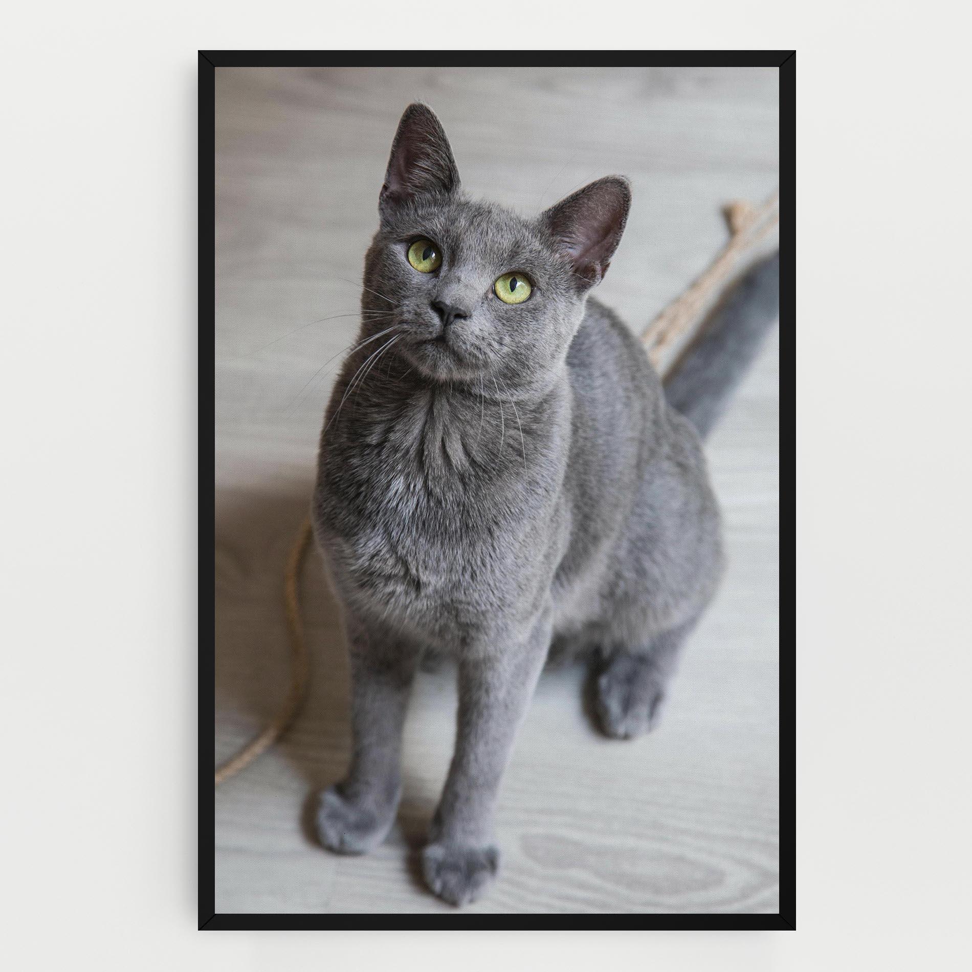 Картина на платно Grey Green Cat Eyes mockup 0