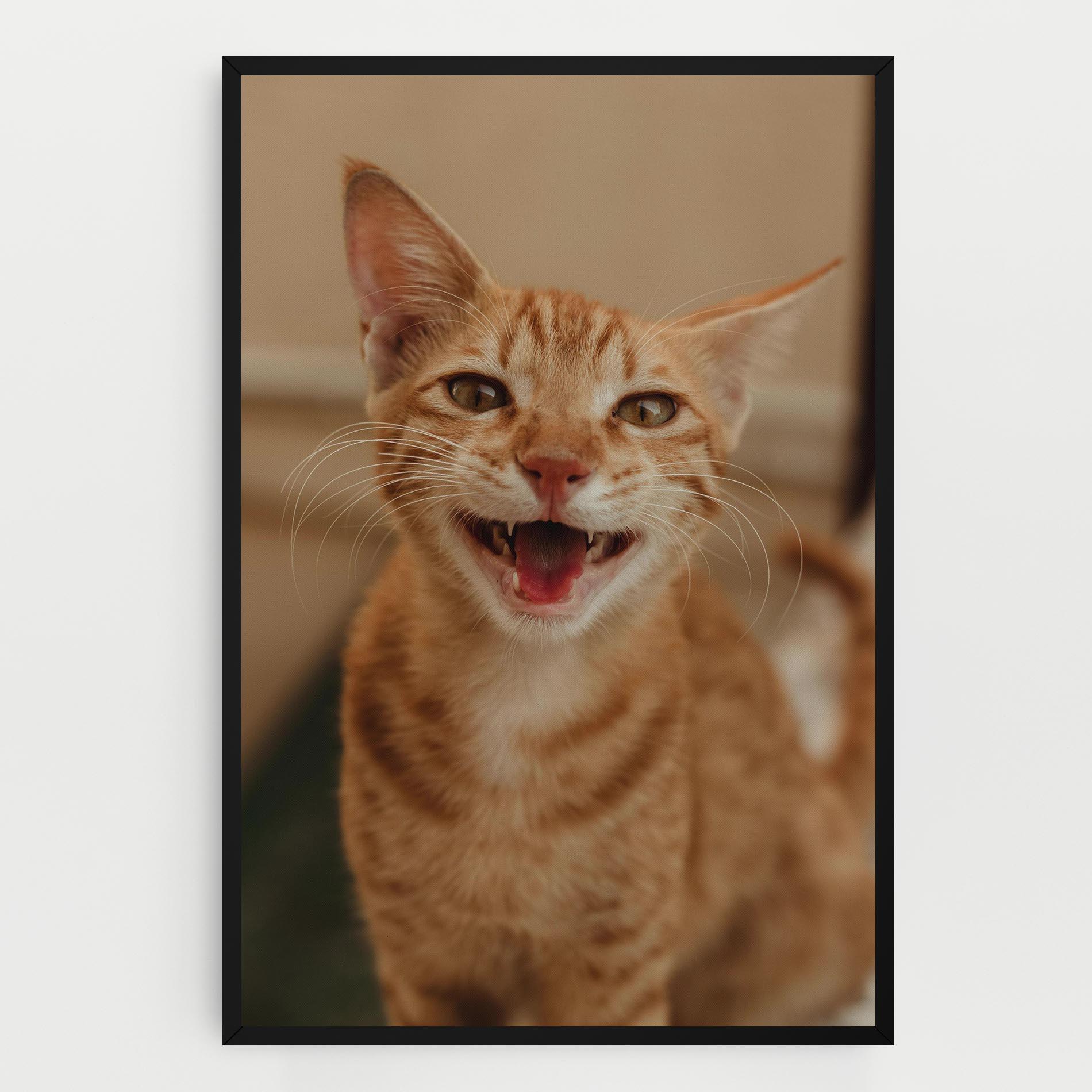 Картина на платно Orange Cat Smiling mockup 0