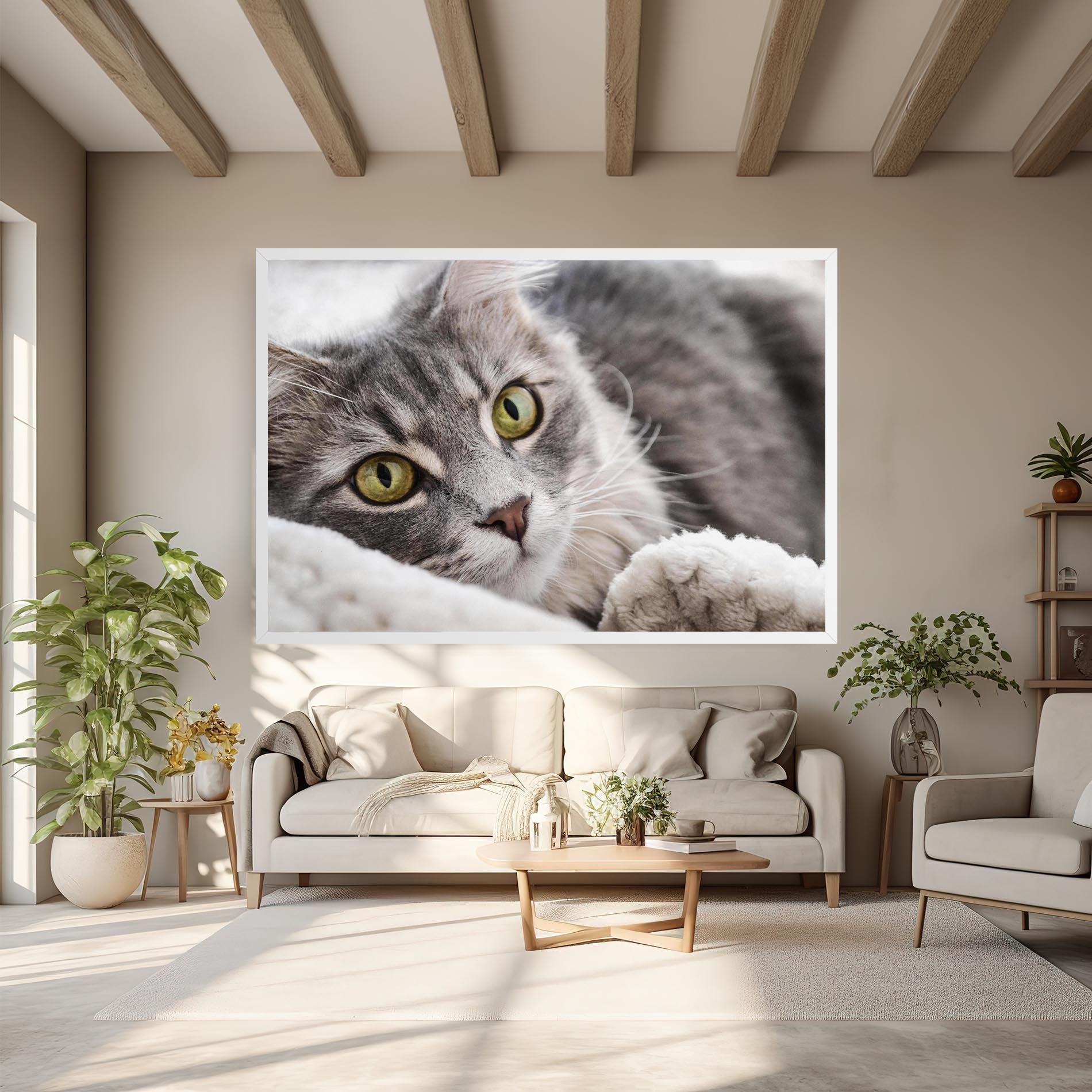 Grey Fluffy Cat mockup 6
