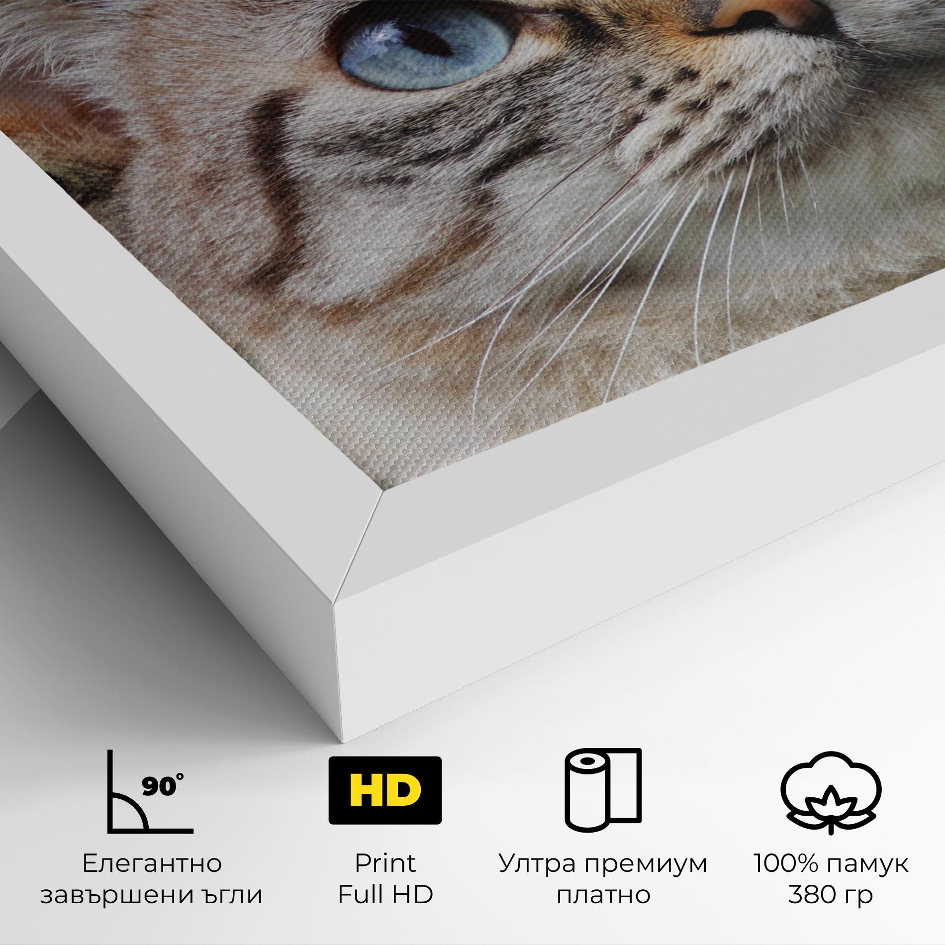 Картина на платно Blue Eyes Cutie mockup 4